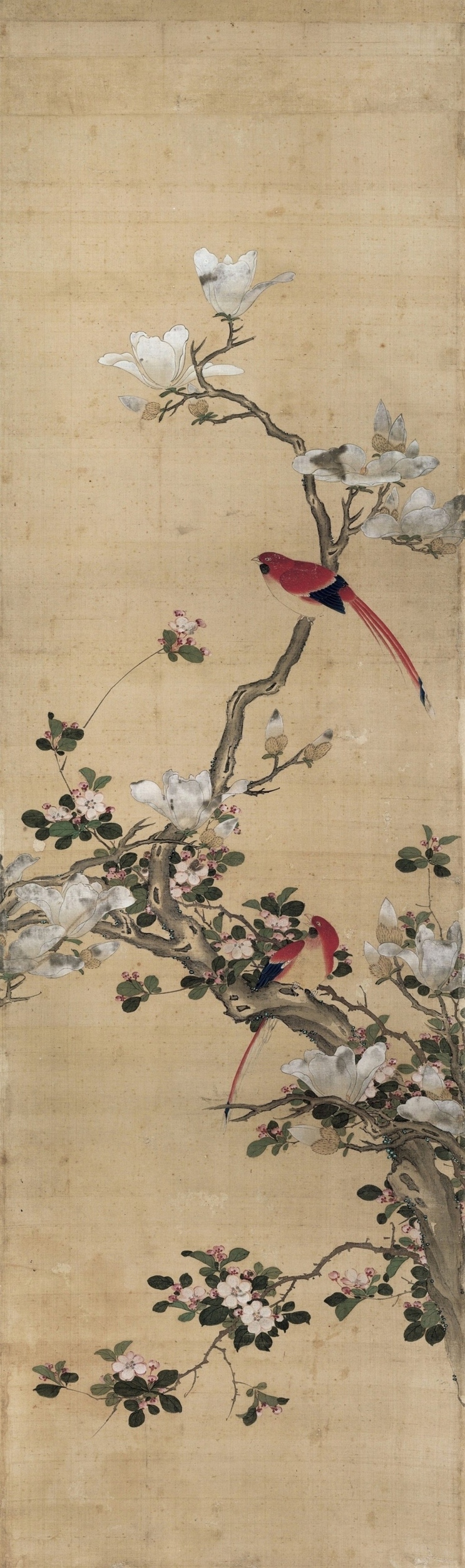 【jpg预览版版】清 陈枚 四季花鸟图屏之三