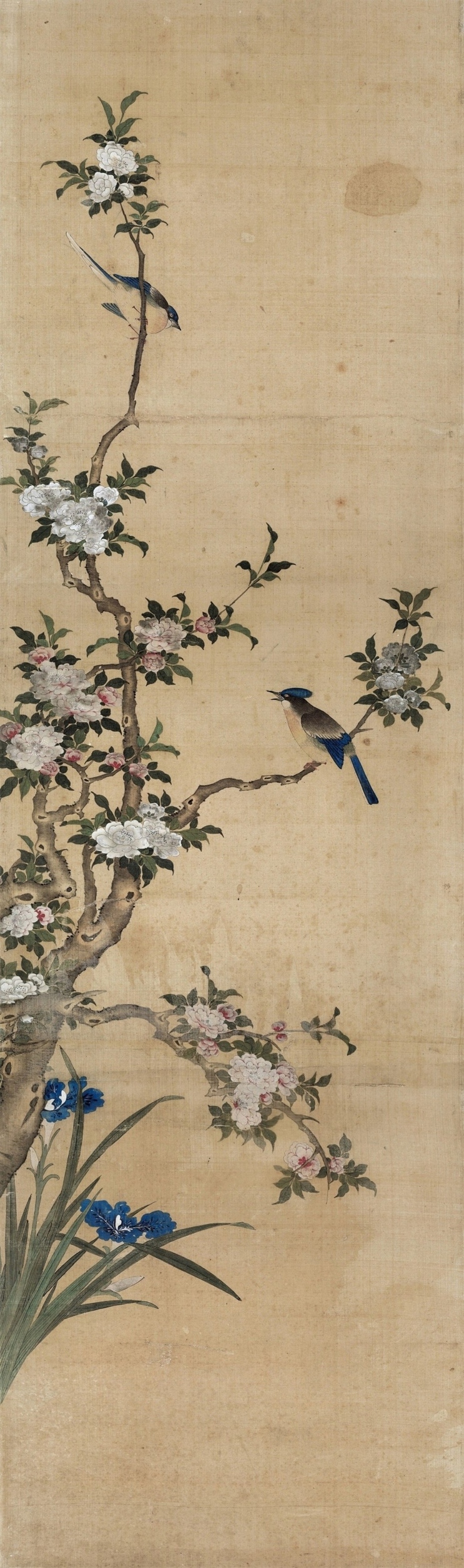【jpg预览版版】清 陈枚 四季花鸟图屏之二