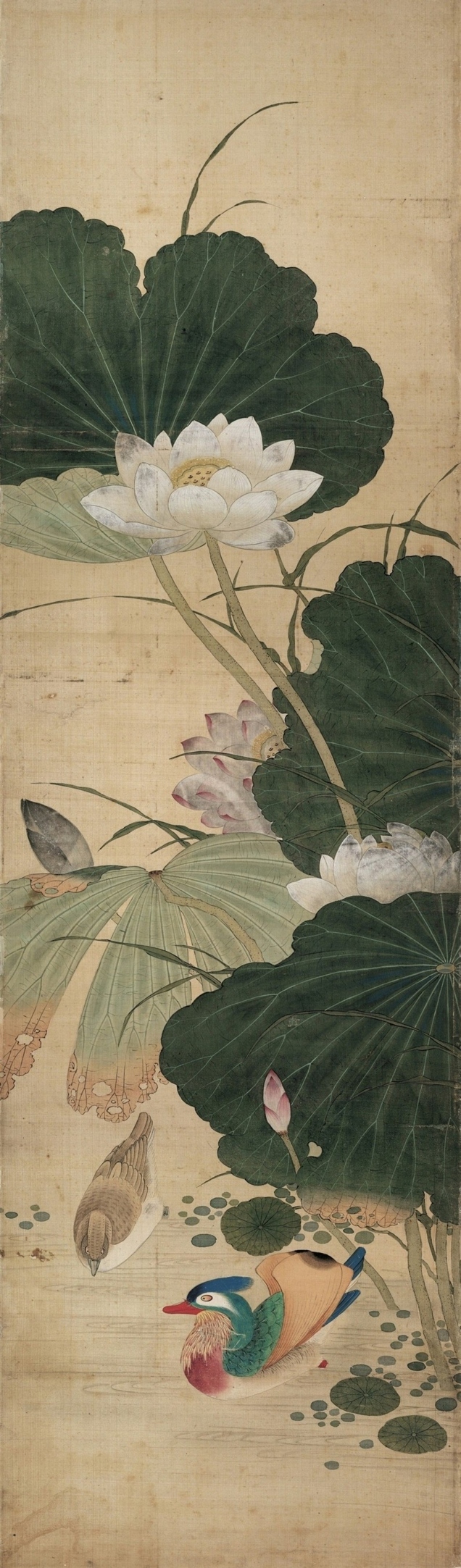 【jpg预览版版】清 陈枚 四季花鸟图屏之五