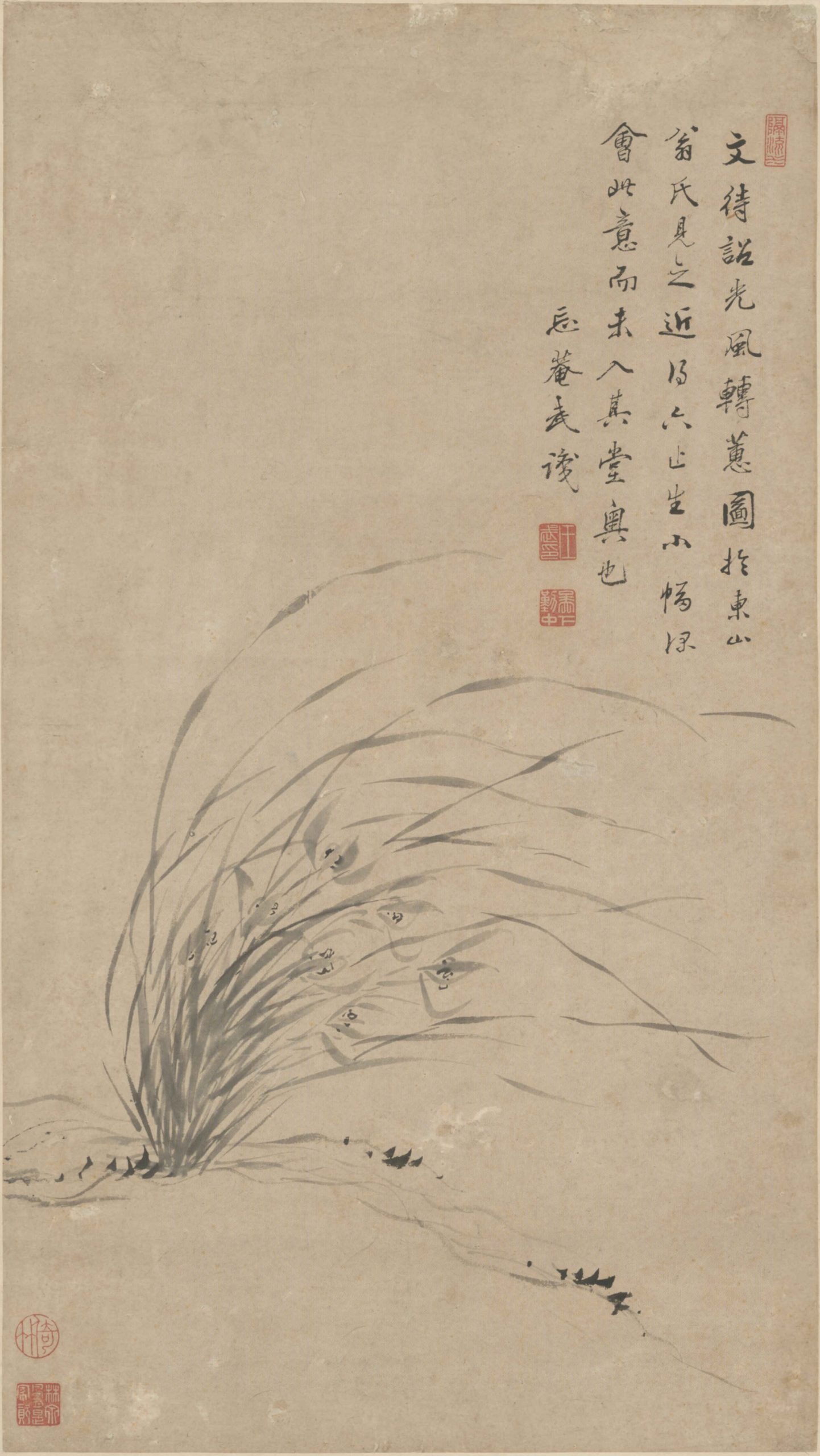 墨兰图轴