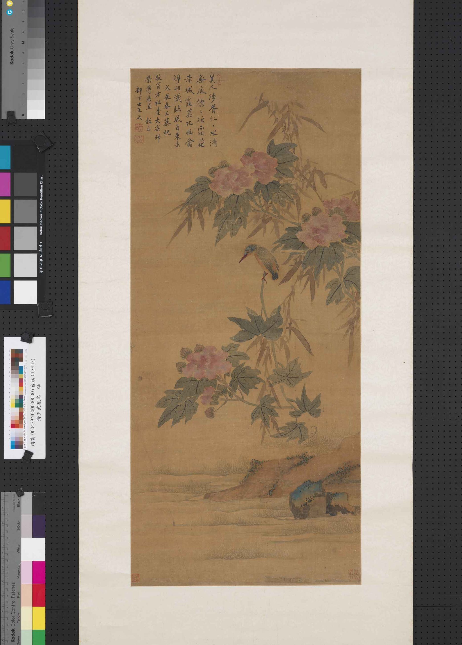 清·王武花鸟图台北故宫博物院高清中国古画