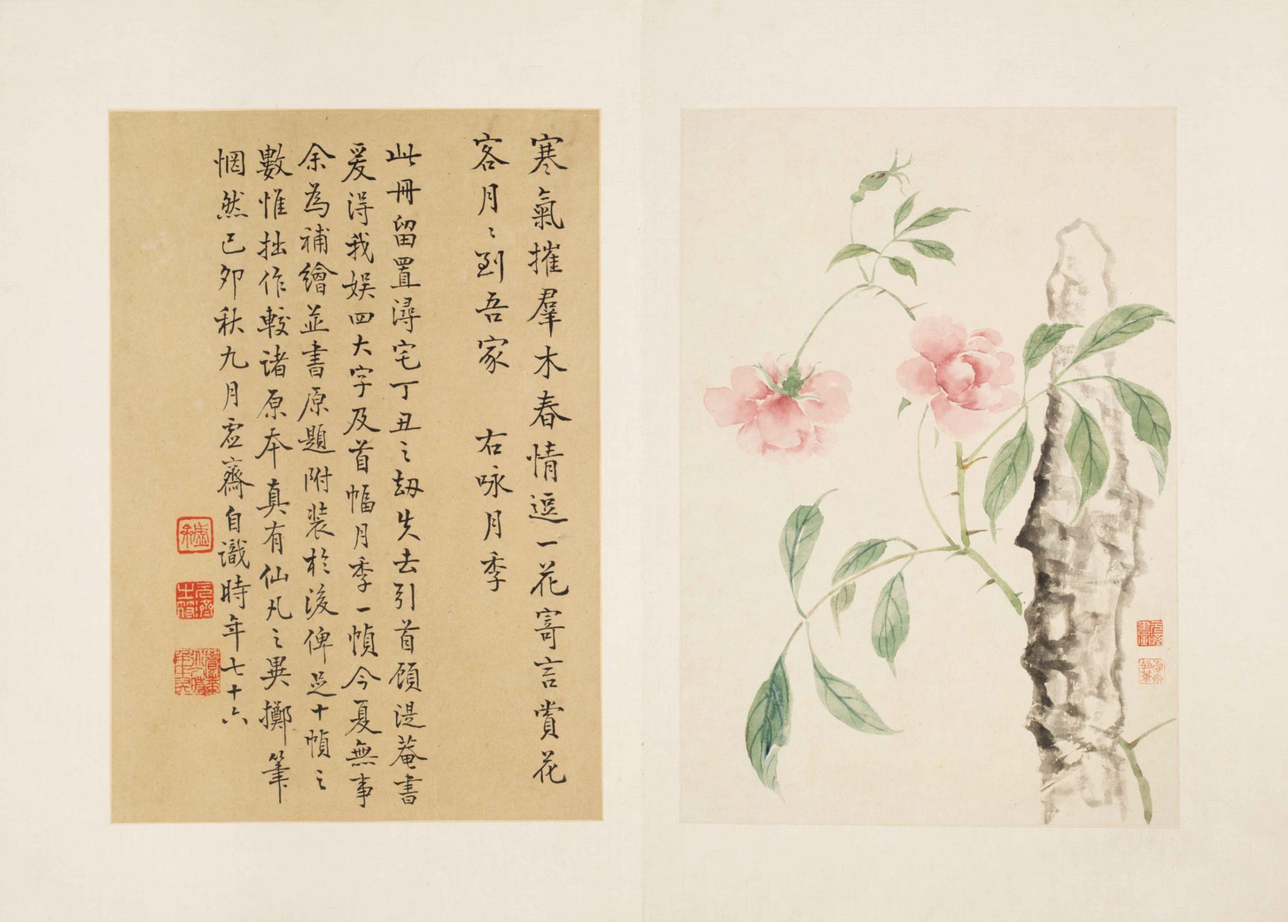 清·王武花卉册九开故宫博物院高清中国古画