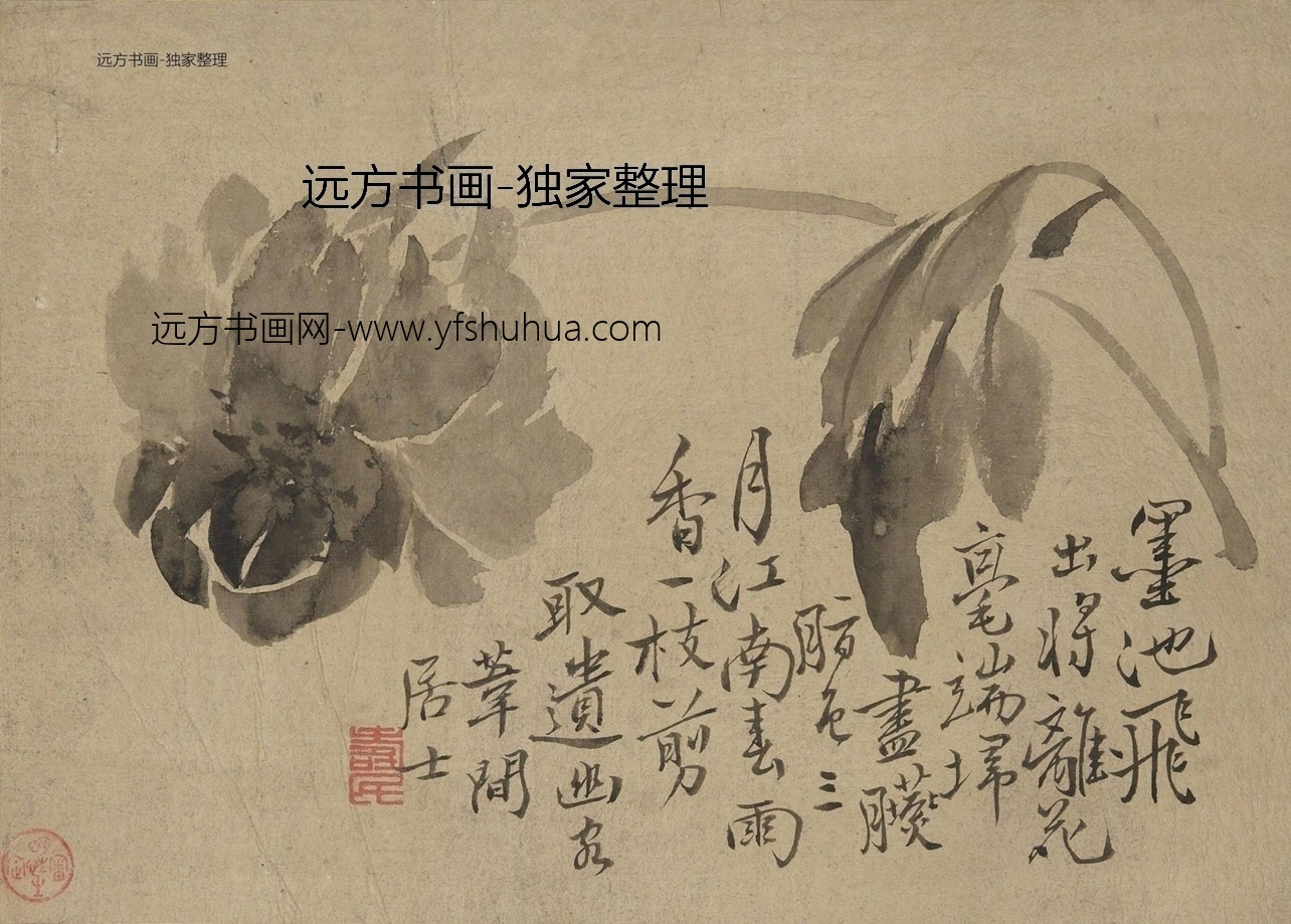 明 边寿民 鱼蟹花草图册 0