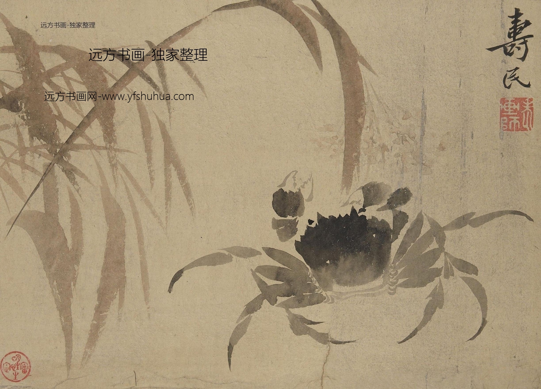 明朝代【边寿民】《鱼蟹花草图册（8开）》TIF高清大图中国画古画素材下载