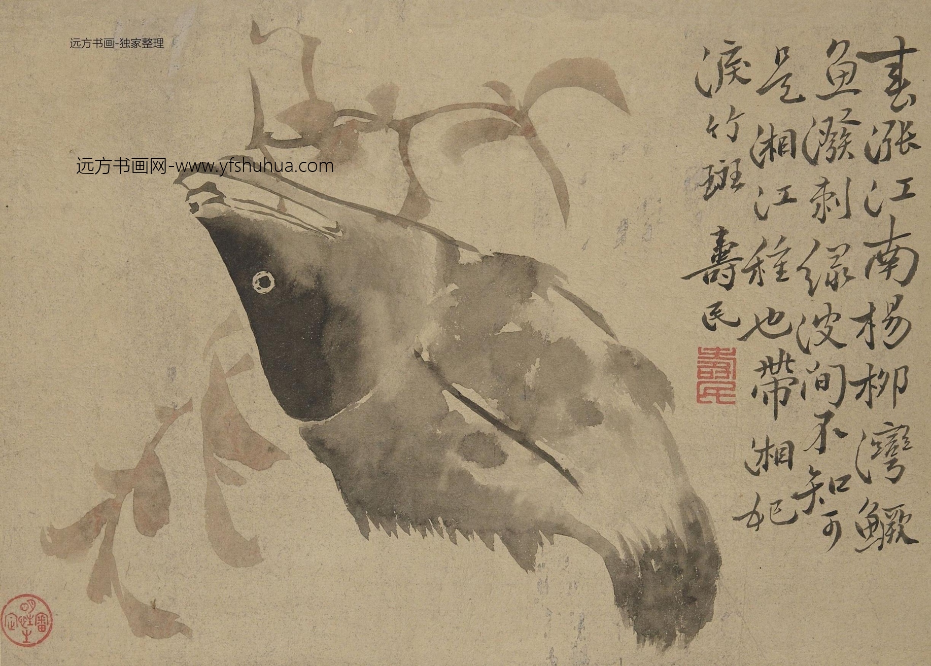 明朝代【边寿民】《鱼蟹花草图册（8开）》TIF高清大图中国画古画素材下载