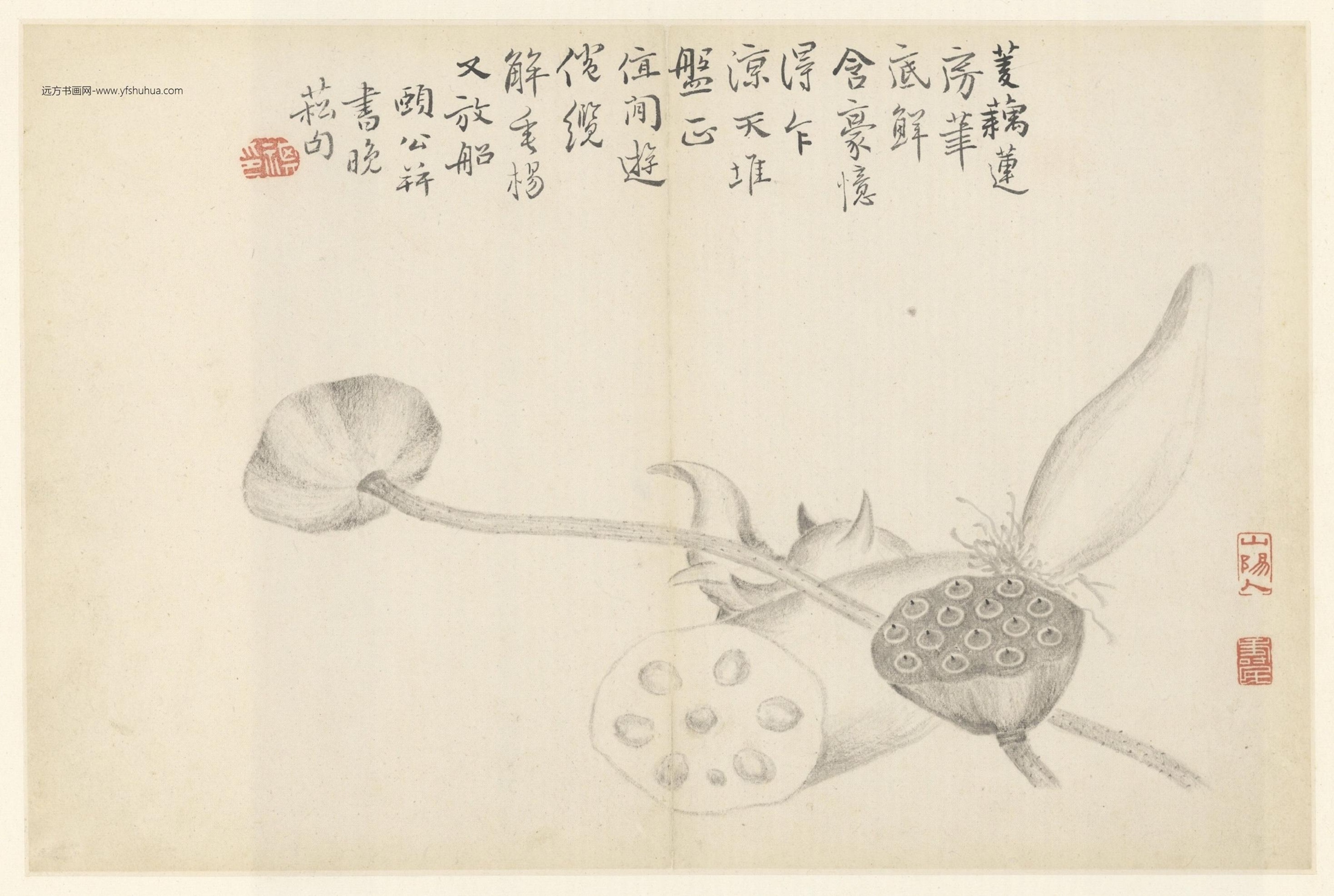 清朝代【边寿民】《杂画册（10开）》TIF高清大图中国画古画素材下载