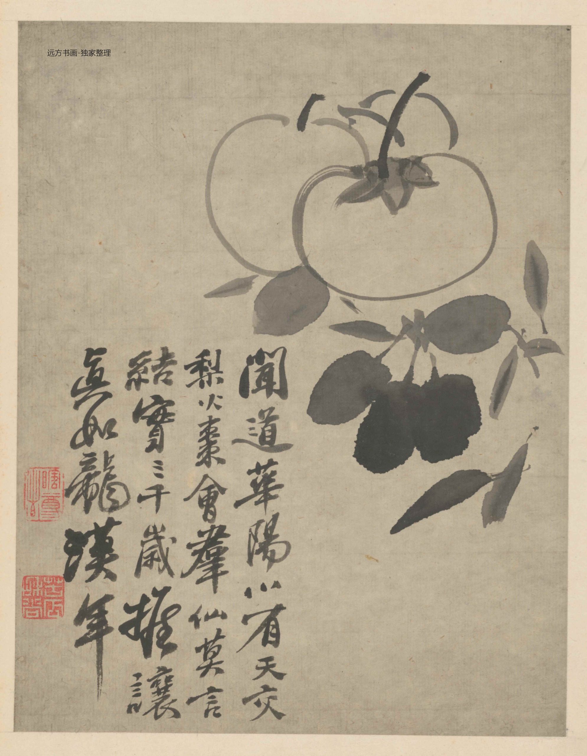 杂画图册（8开） 2