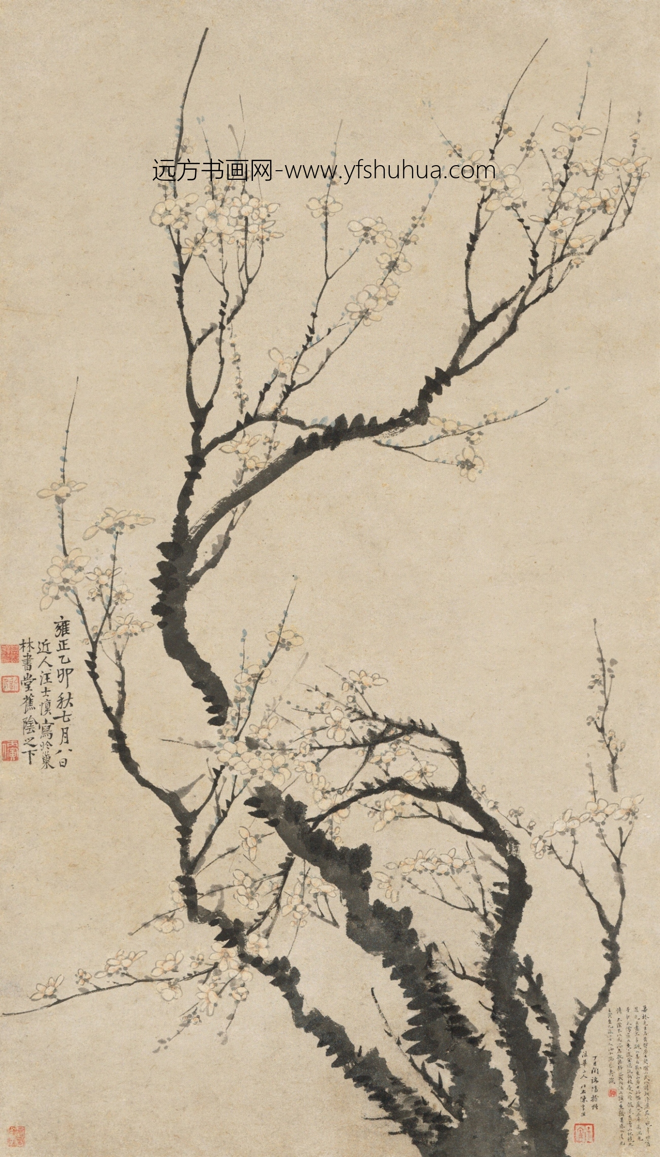 梅花轴