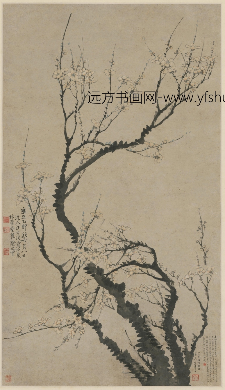 清 汪士慎 梅花图
