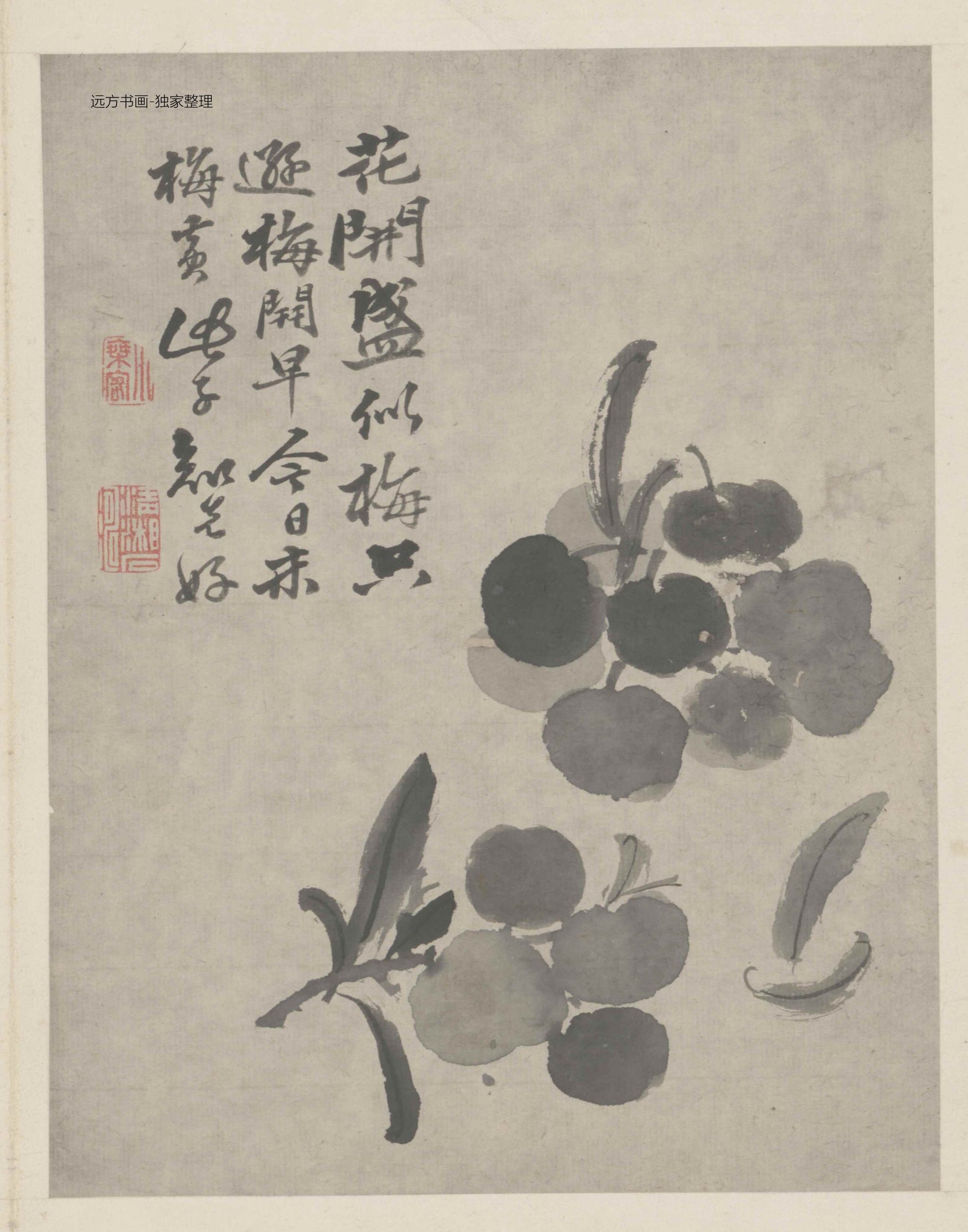 清 石涛 墨醉杂画图册12开 0