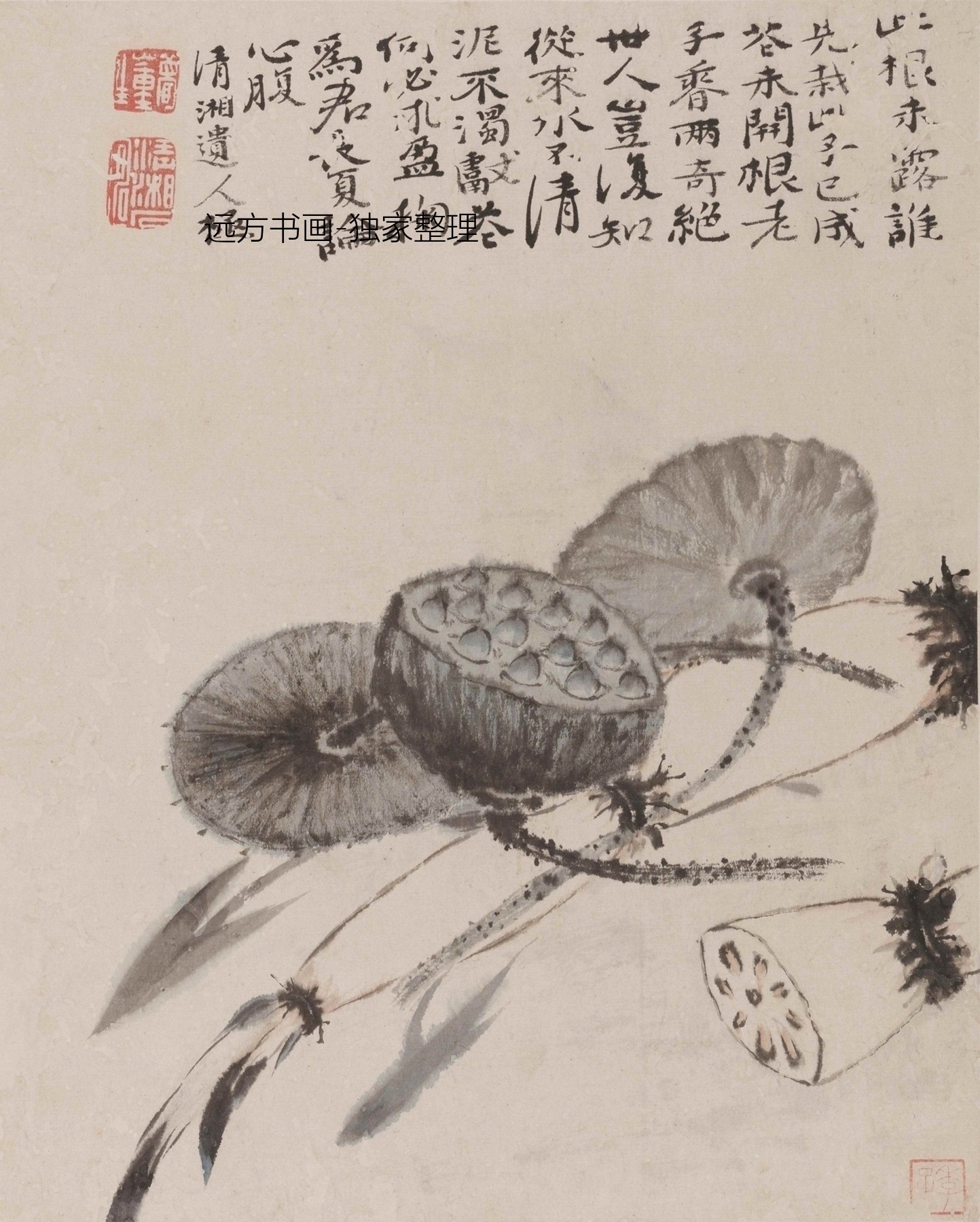 清 石涛 花果图册 1