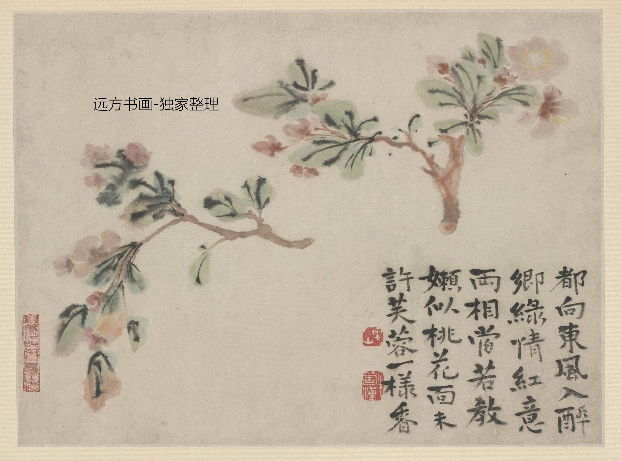 清 石涛 花鸟图册10帧 1