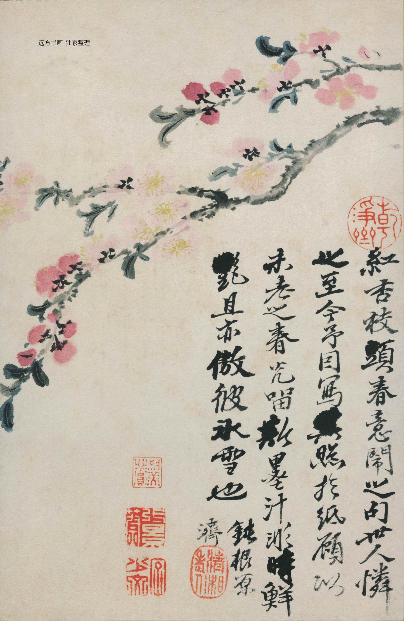 清 石涛 花鸟图册12开 0