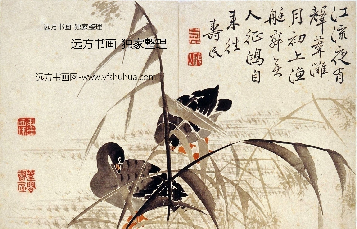 清朝代【边寿民】《芦雁图册（八开）》TIF高清大图中国画古画素材下载