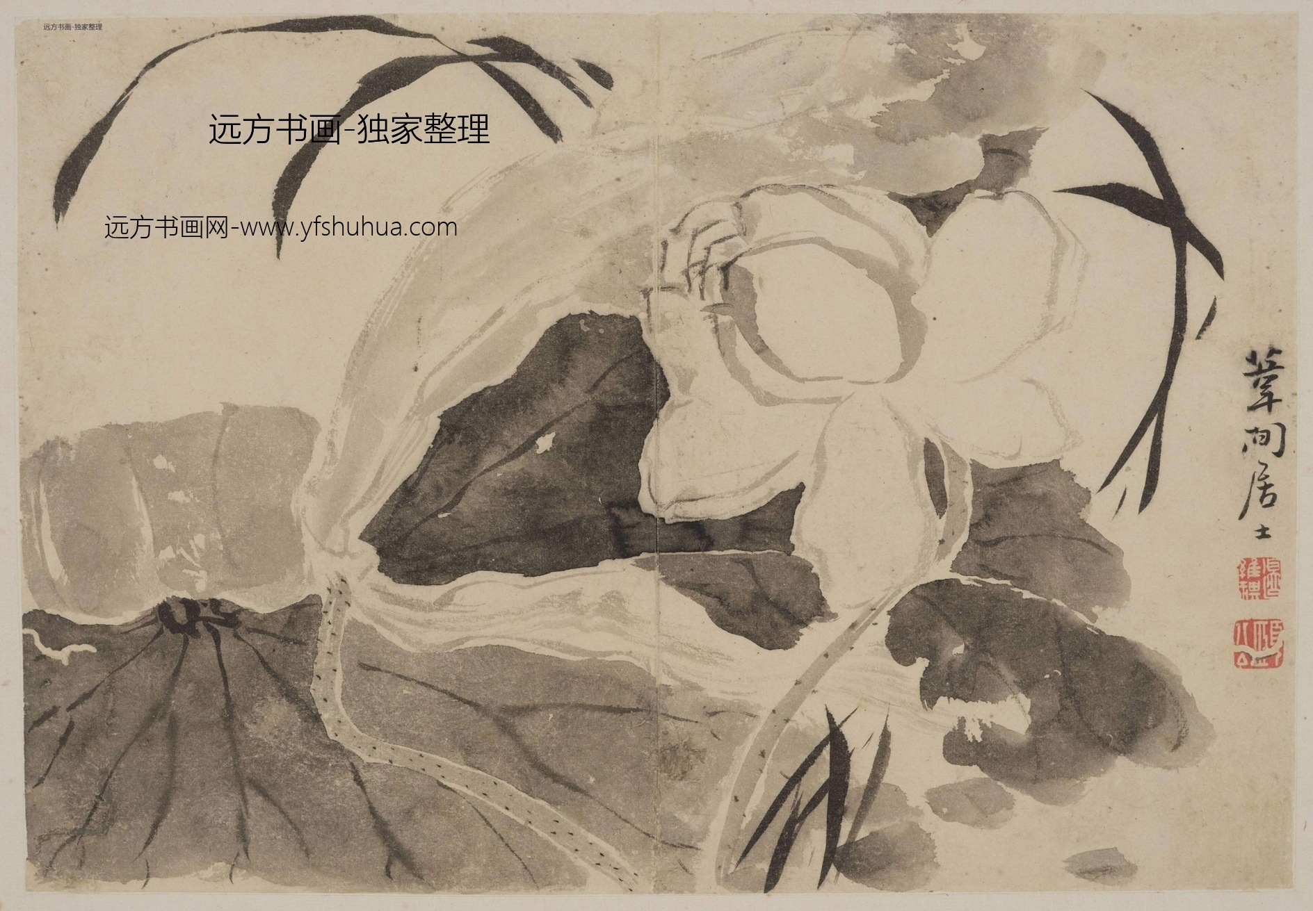 清 边寿民 花卉书法四帧 0