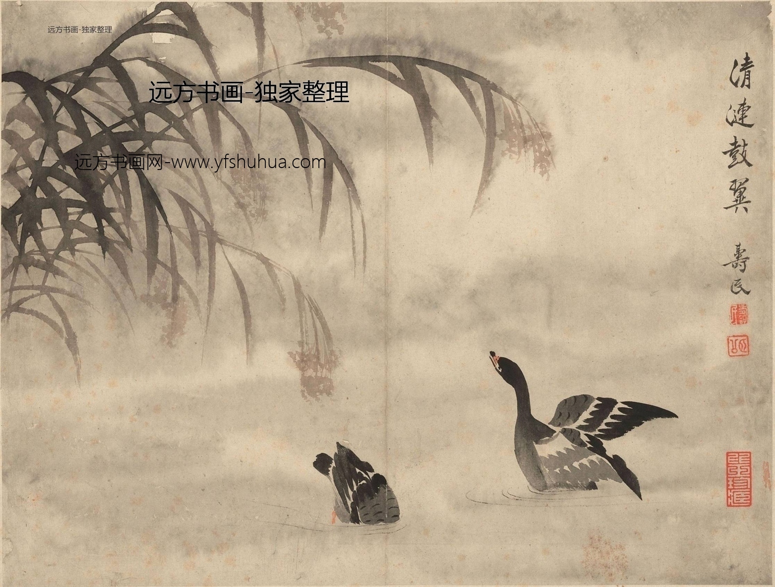清 边寿民 边寿民芦雁图册页 0