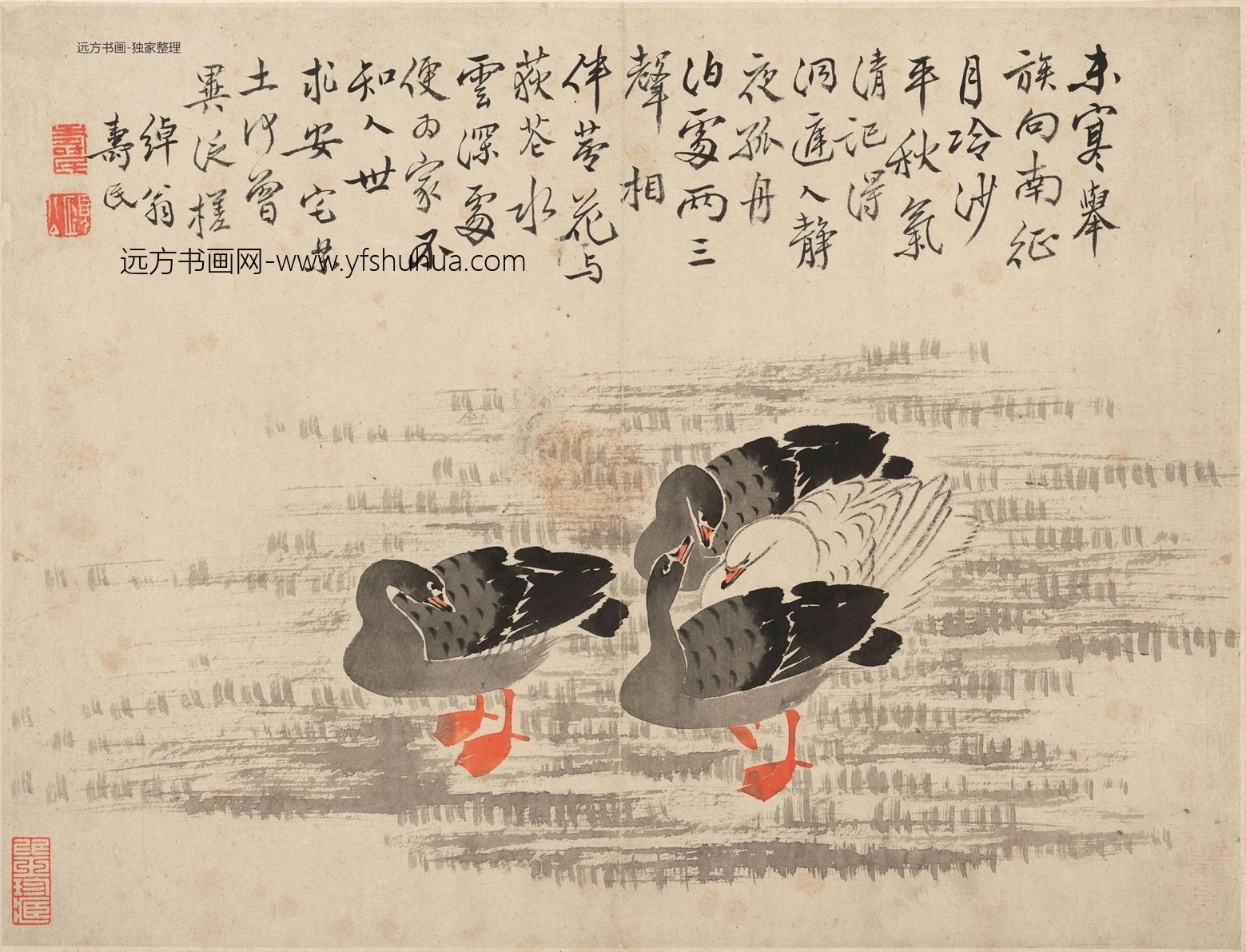 清朝代【边寿民】《芦雁图册页（10开）》TIF高清大图中国画古画素材下载