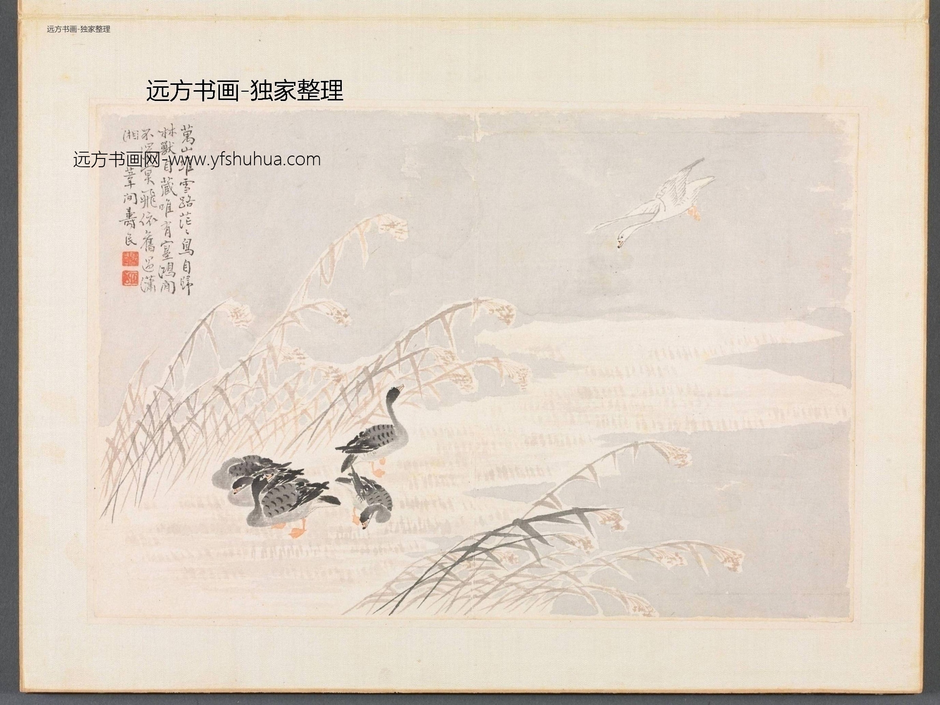 清朝代【边寿民】《边颐公墨妙诗画册（13开）》TIF高清大图中国画古画素材下载