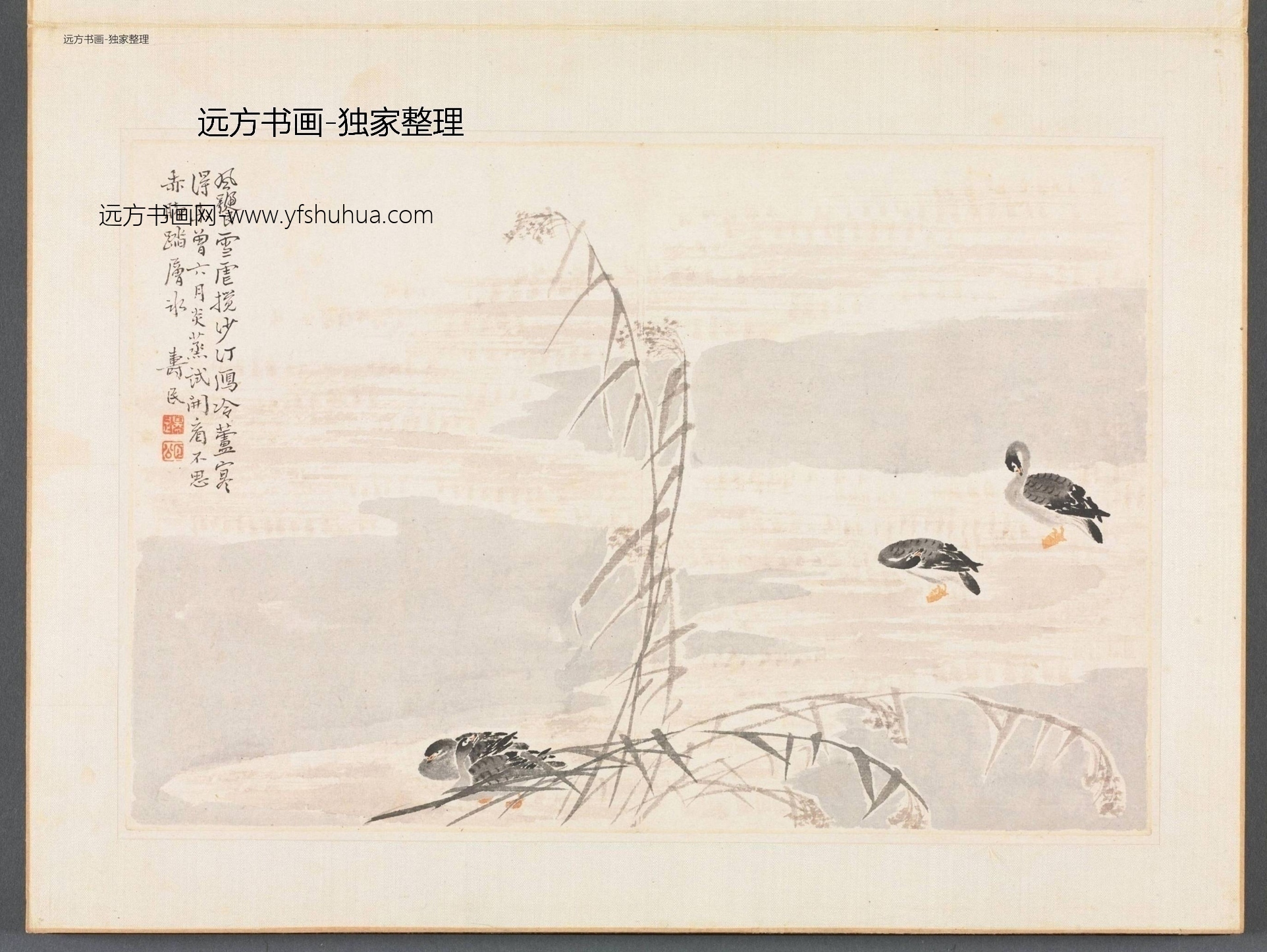 清朝代【边寿民】《边颐公墨妙诗画册（13开）》TIF高清大图中国画古画素材下载