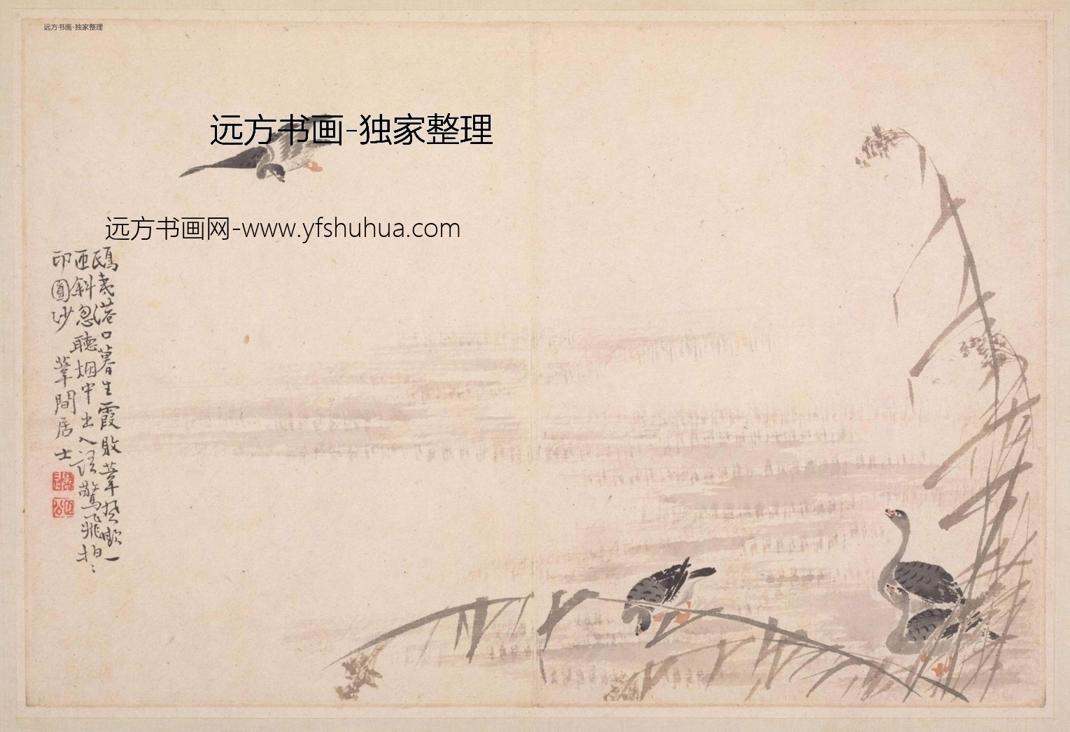 清朝代【边寿民】《边颐公墨妙诗画册（13开）》TIF高清大图中国画古画素材下载