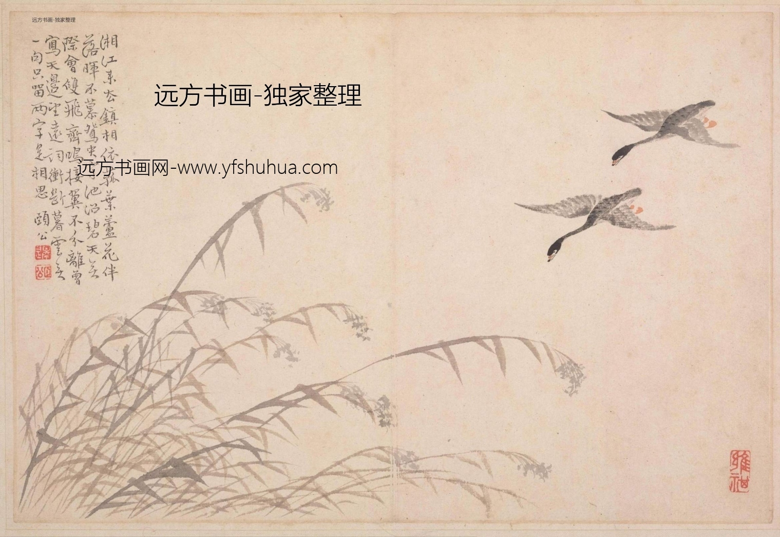 清朝代【边寿民】《边颐公墨妙诗画册（13开）》TIF高清大图中国画古画素材下载