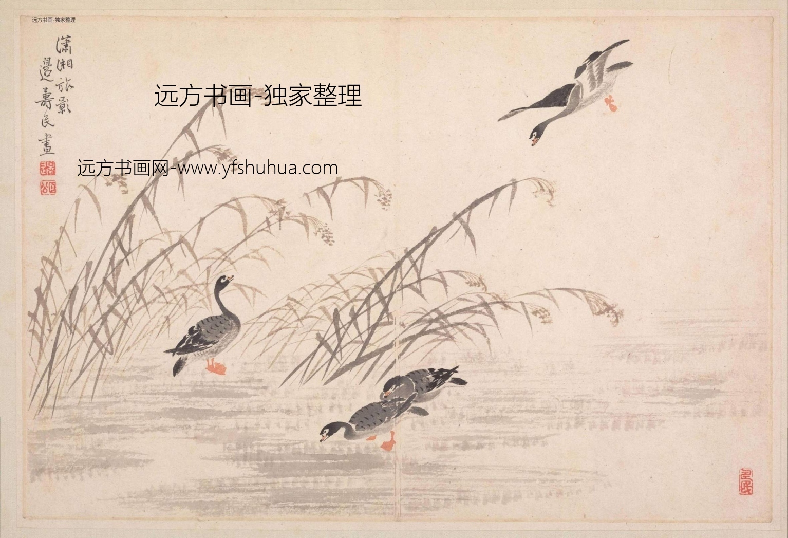 清朝代【边寿民】《边颐公墨妙诗画册（13开）》TIF高清大图中国画古画素材下载