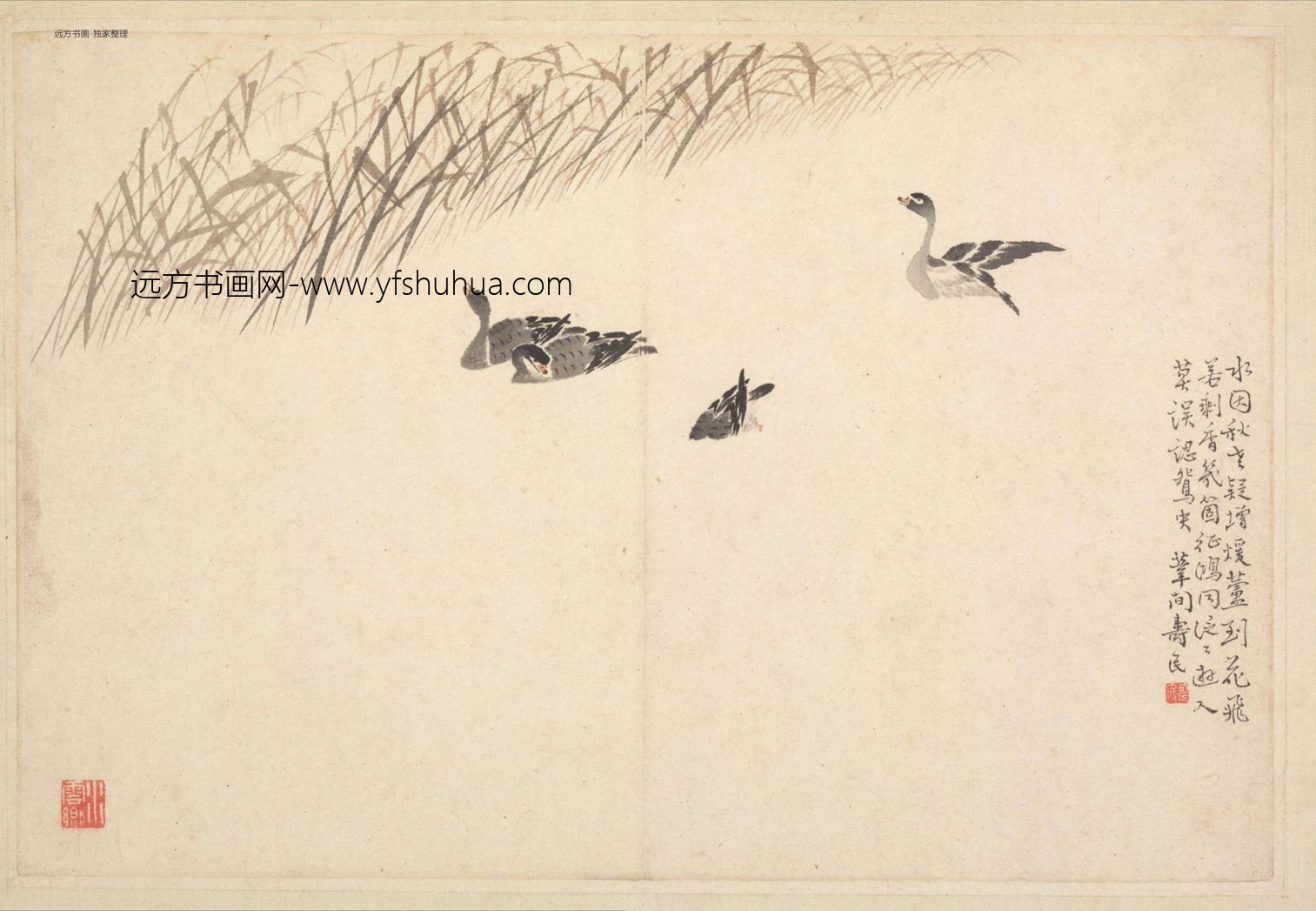 清朝代【边寿民】《边颐公墨妙诗画册（13开）》TIF高清大图中国画古画素材下载