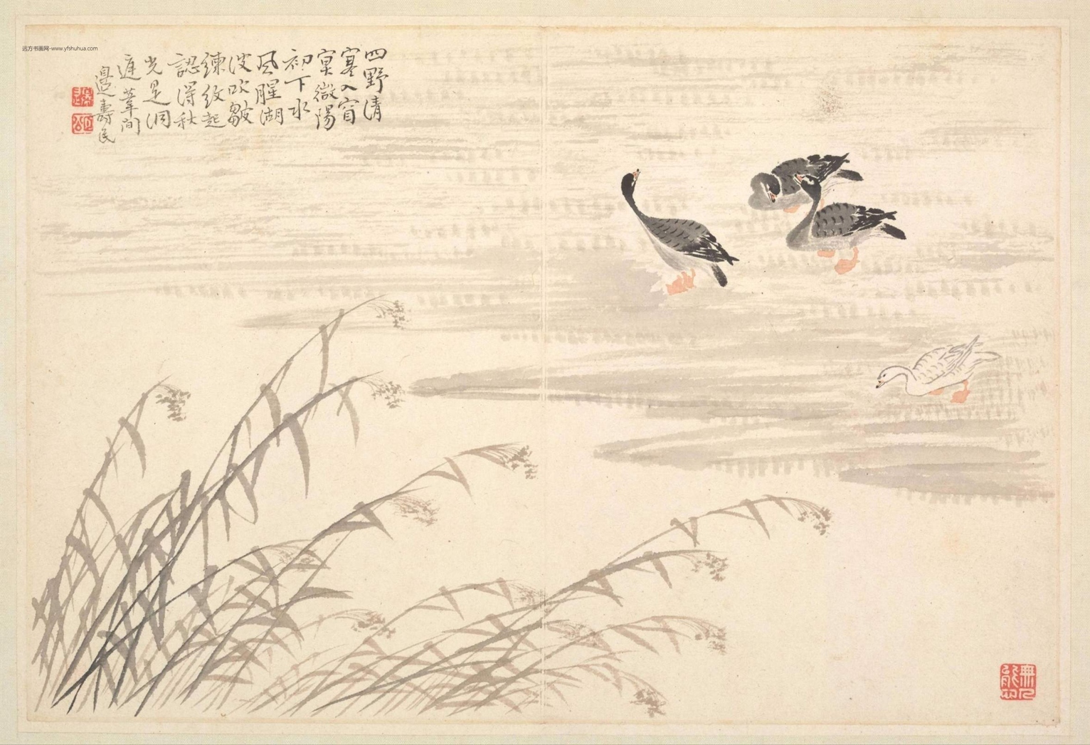 清朝代【边寿民】《边颐公墨妙诗画册（13开）》TIF高清大图中国画古画素材下载