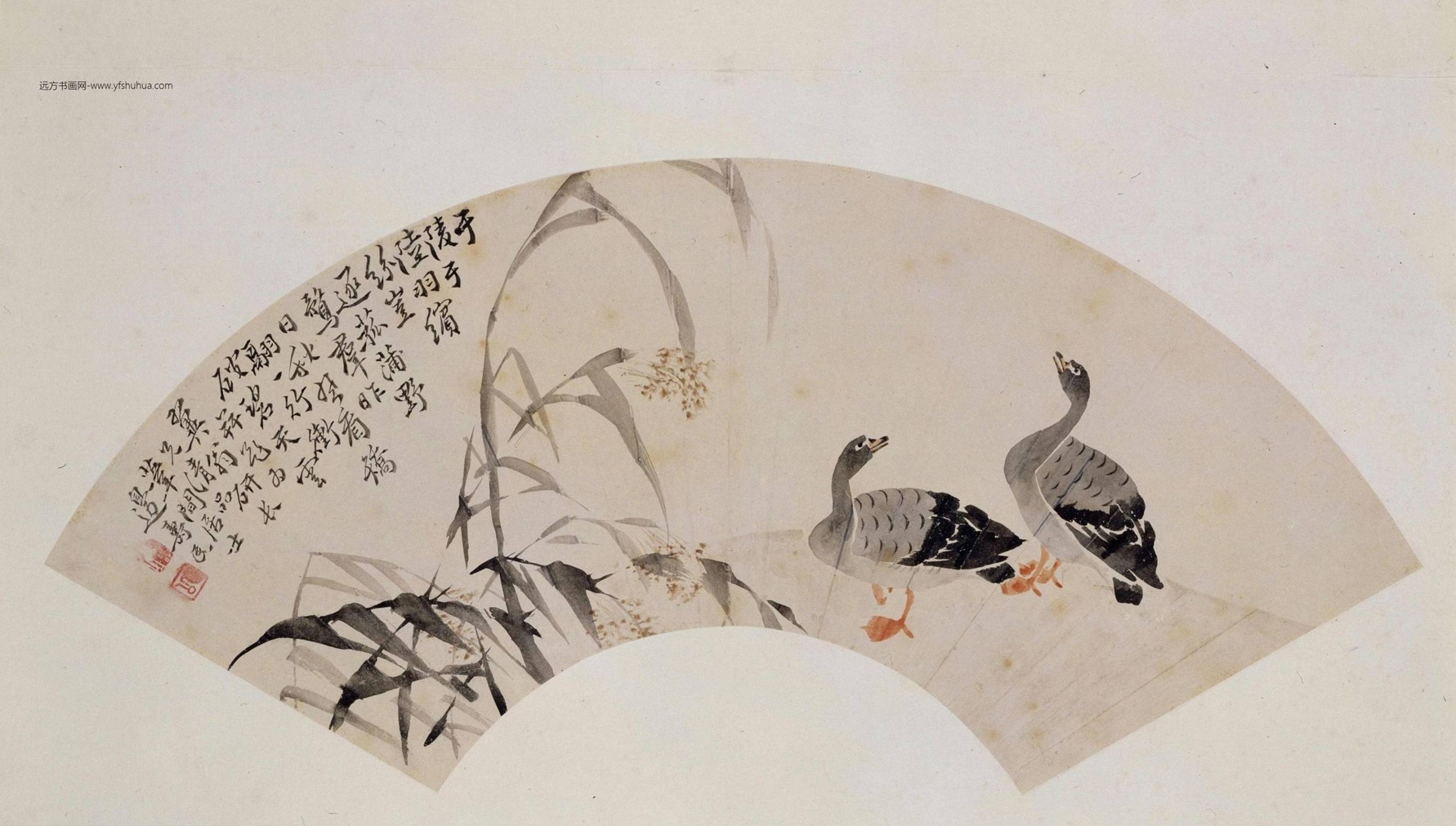 芦雁图扇页