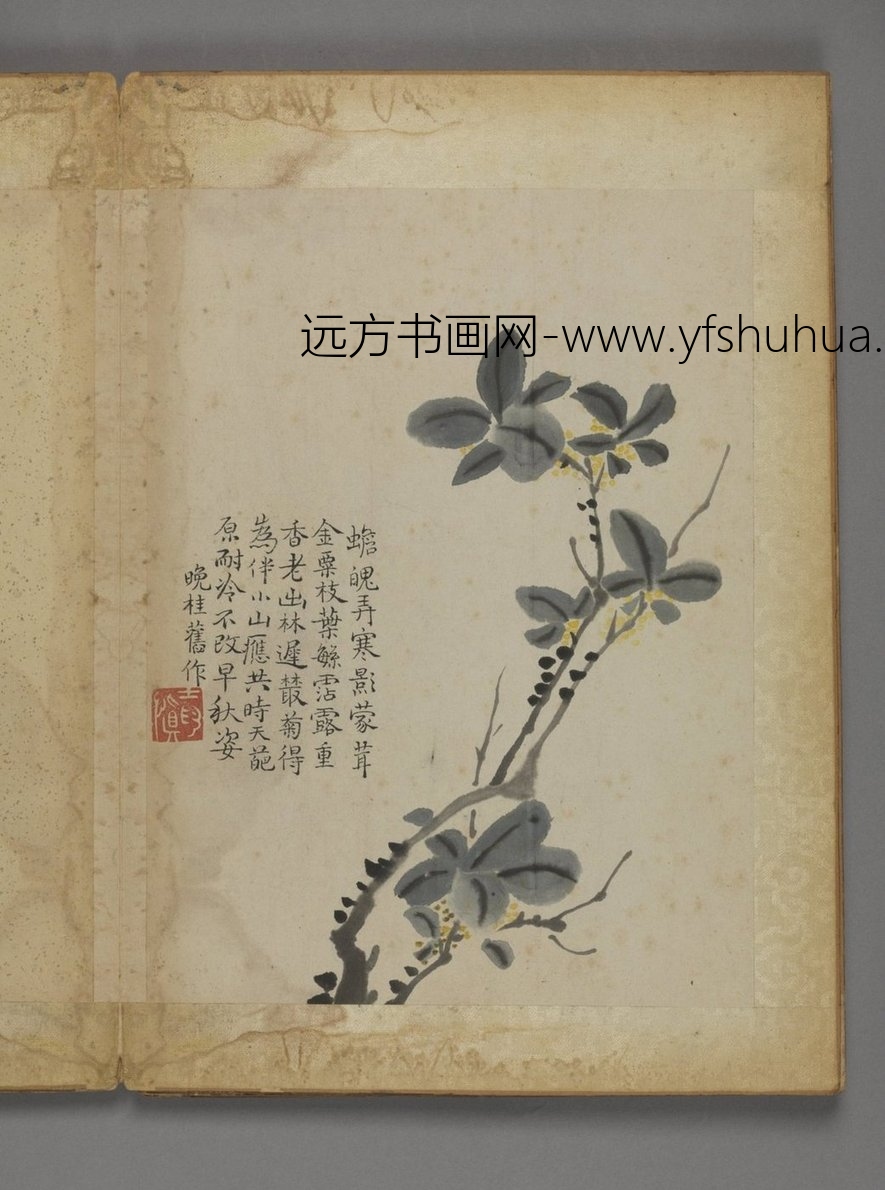 花卉册（12开） 5