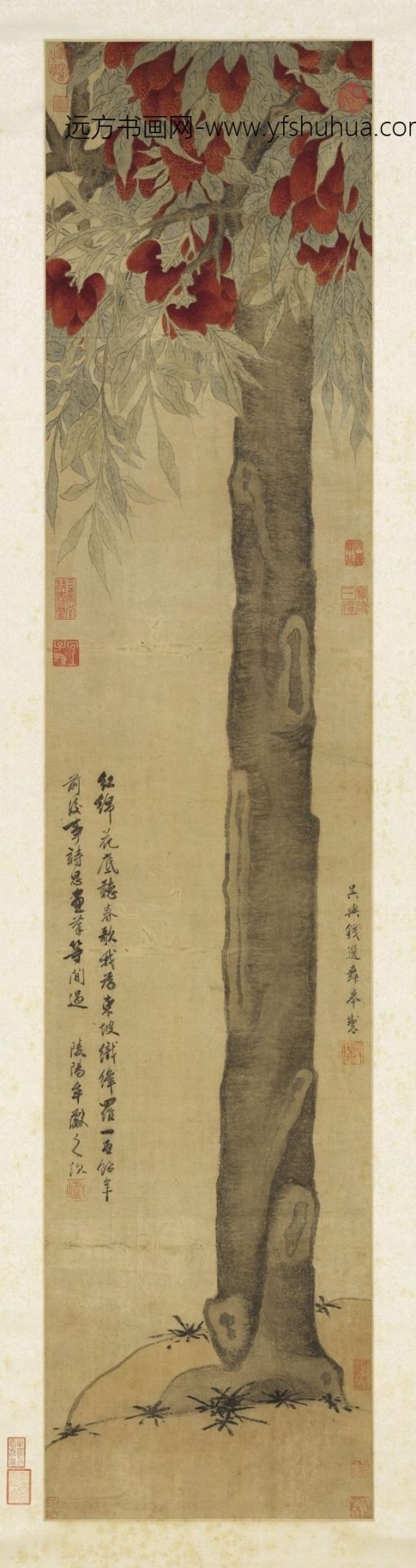元_钱选_宋荔枝图