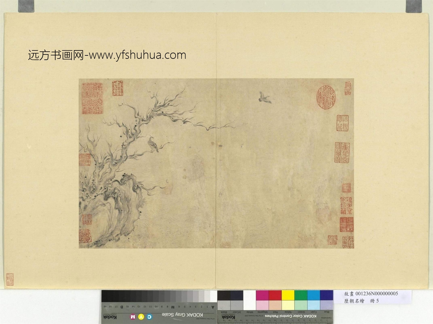南宋_马和之_古木流泉图
