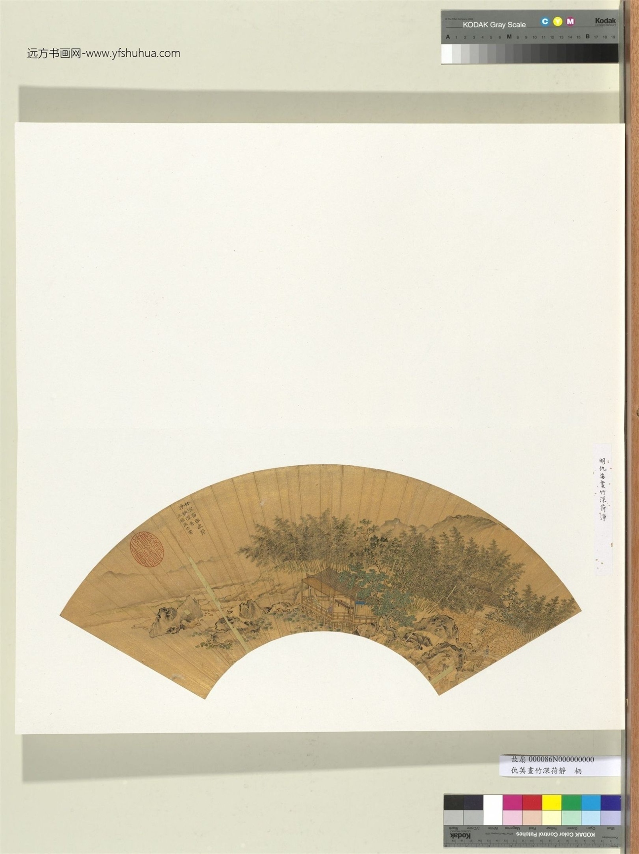 明_仇英_画竹深荷净册_0