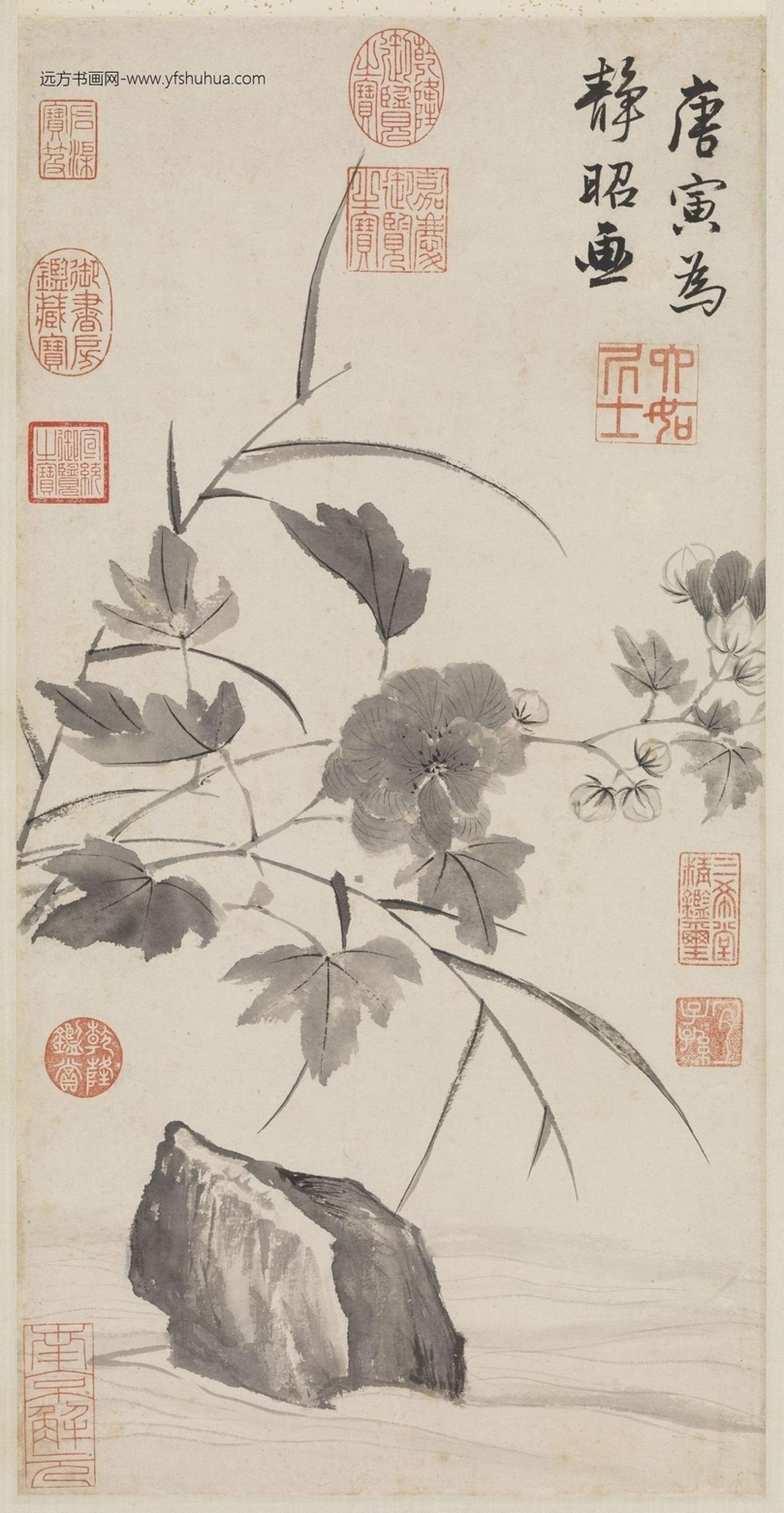 明_唐寅_临水芙蓉图