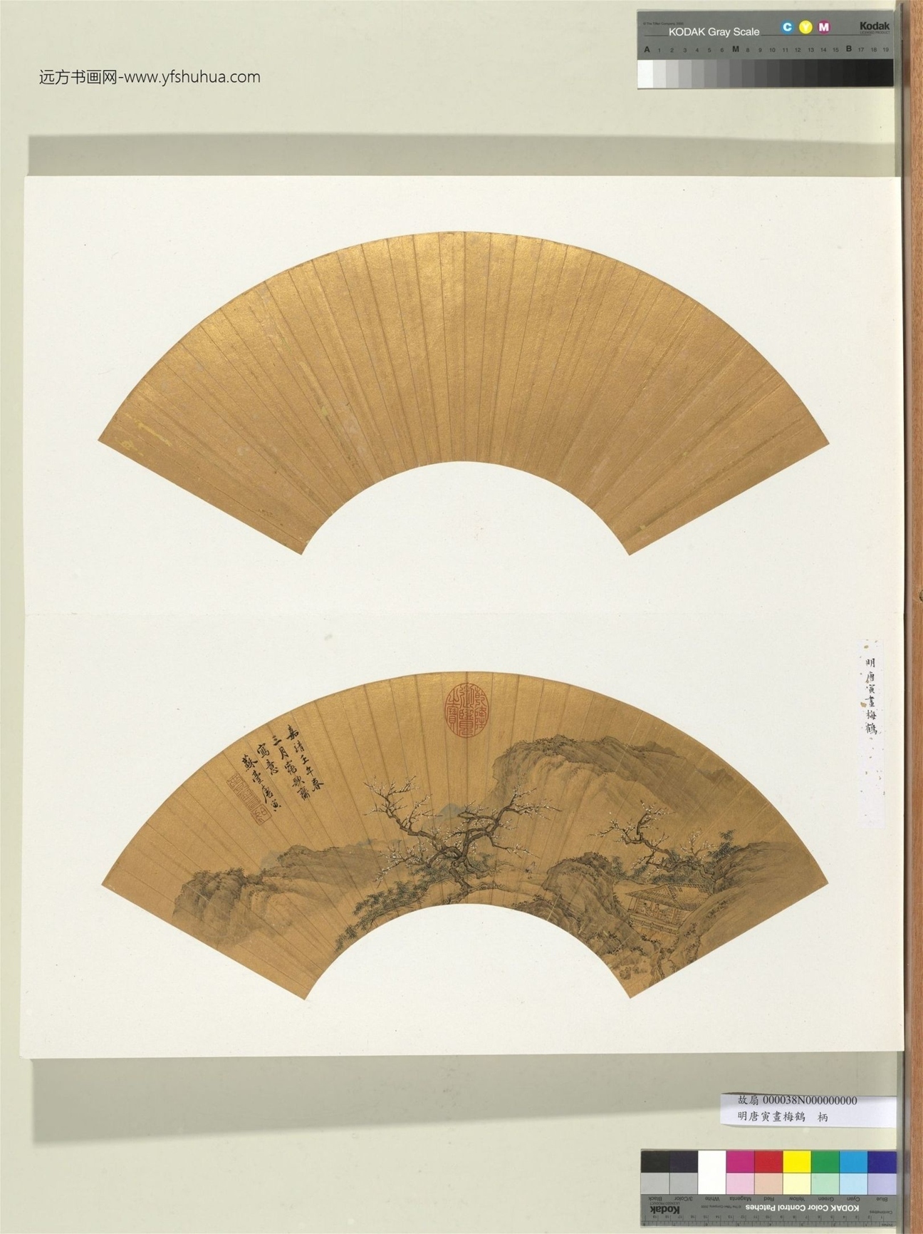 明_唐寅_画梅鹤册_0