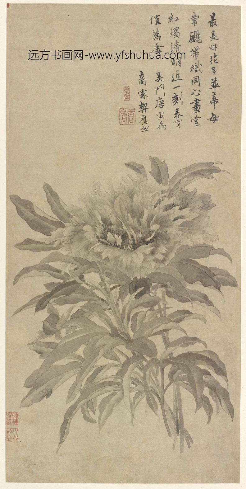 明_唐寅_芍药图 明_唐寅_芍药图