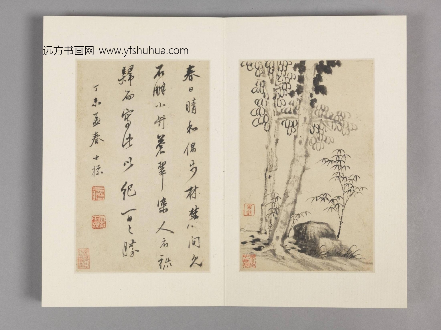 枯木竹石册（12开）-10