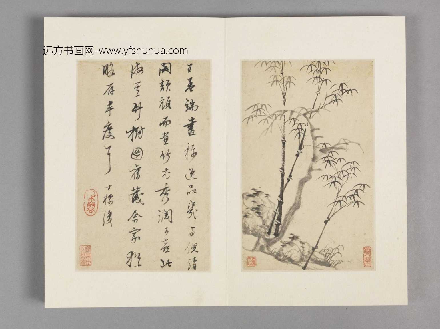 枯木竹石册（12开）-11