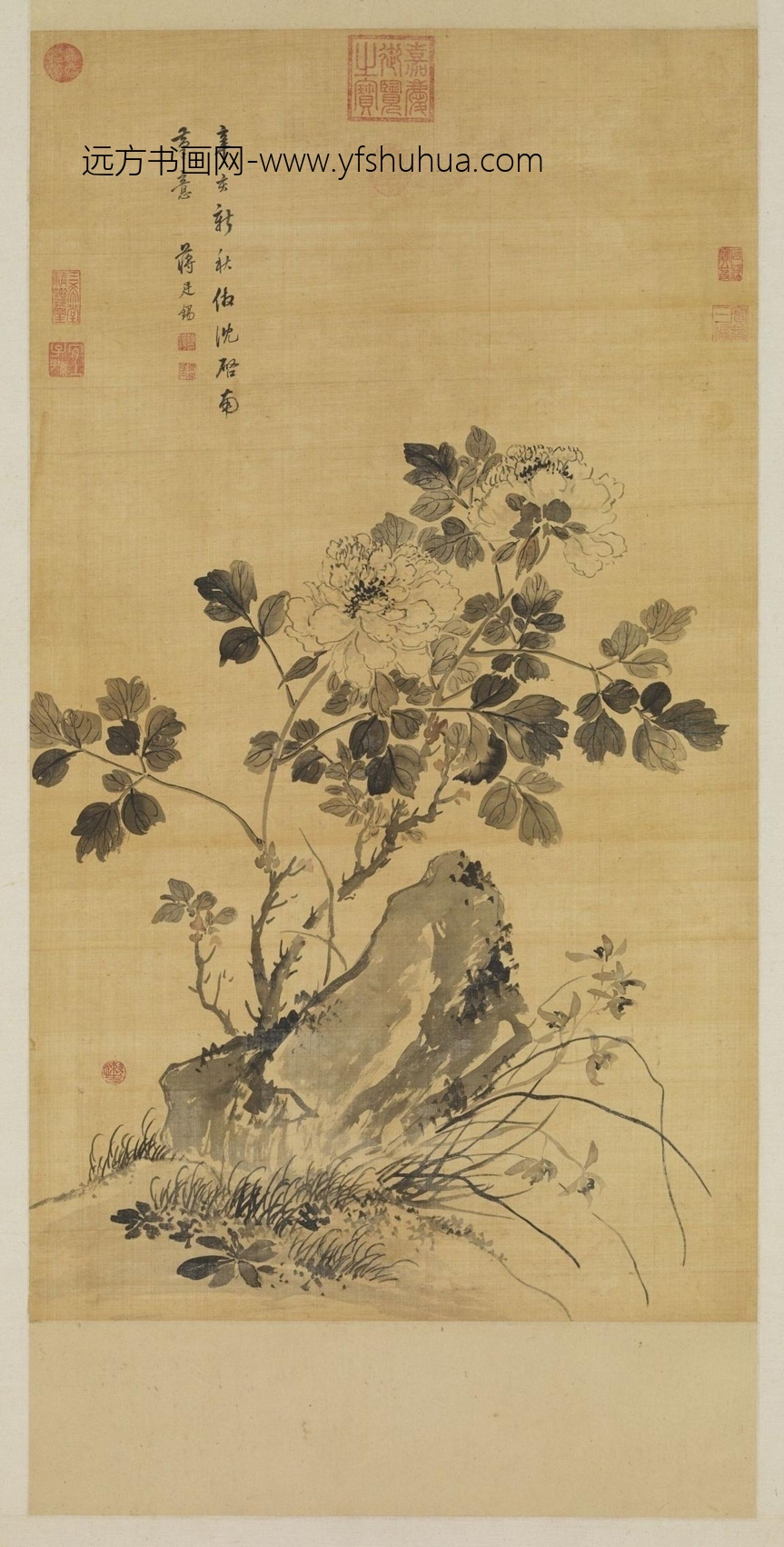 清_蒋廷锡_墨牡丹图轴