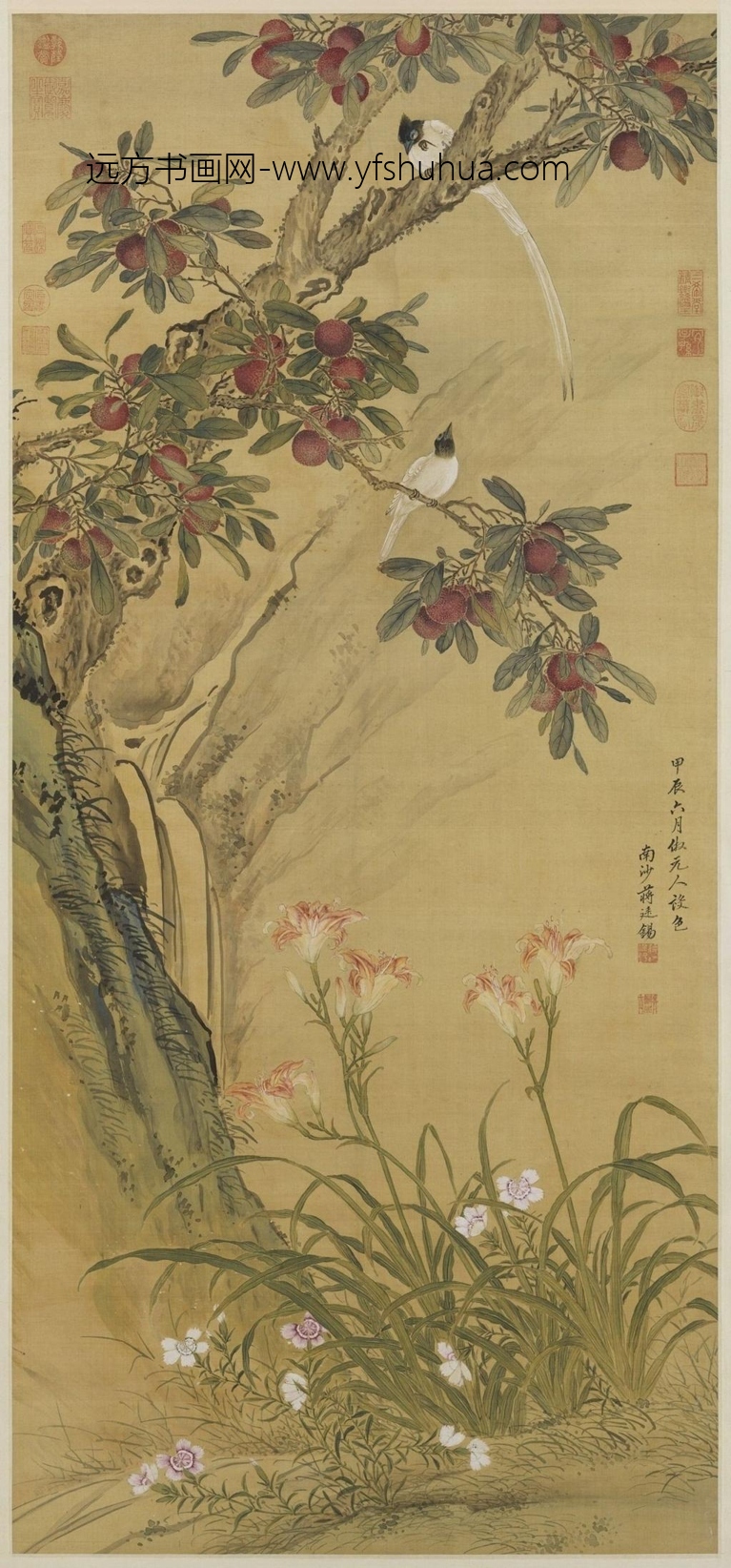 清_蒋廷锡_杨梅练雀图