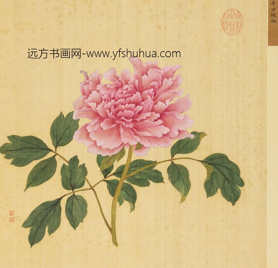 清_蒋廷锡_百种牡丹谱(选十帧）_11