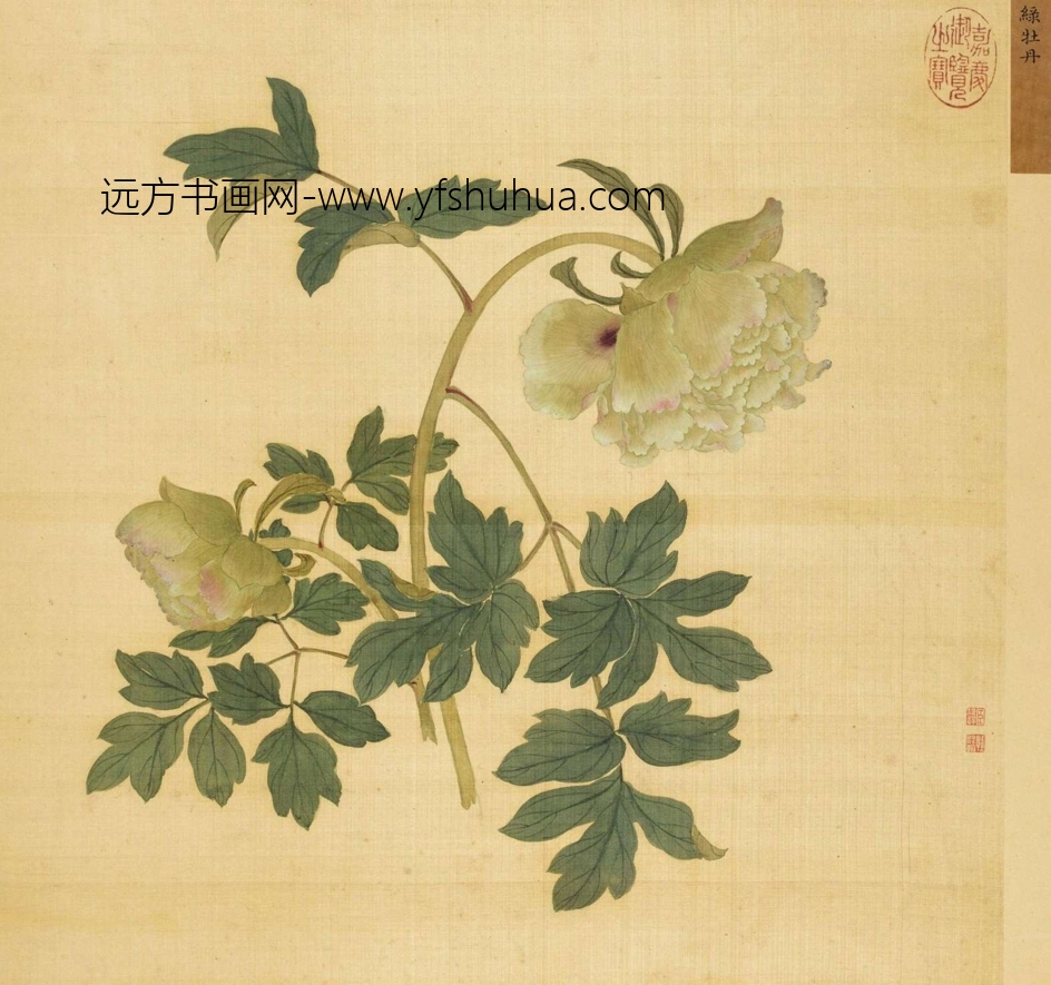 清_蒋廷锡_百种牡丹谱(选十帧）_13