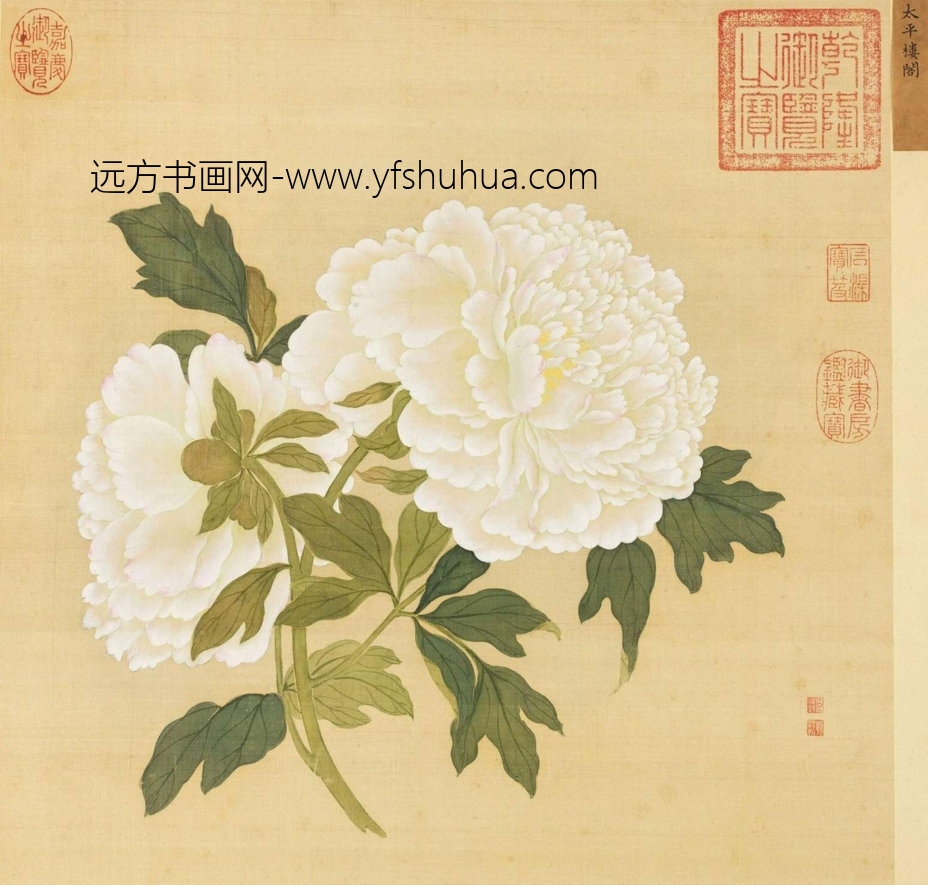 清_蒋廷锡_百种牡丹谱(选十帧）_5