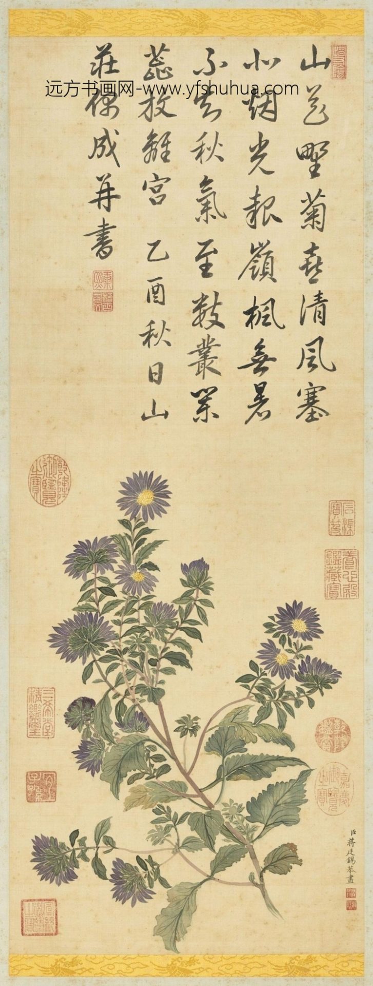 清_蒋廷锡_野菊轴