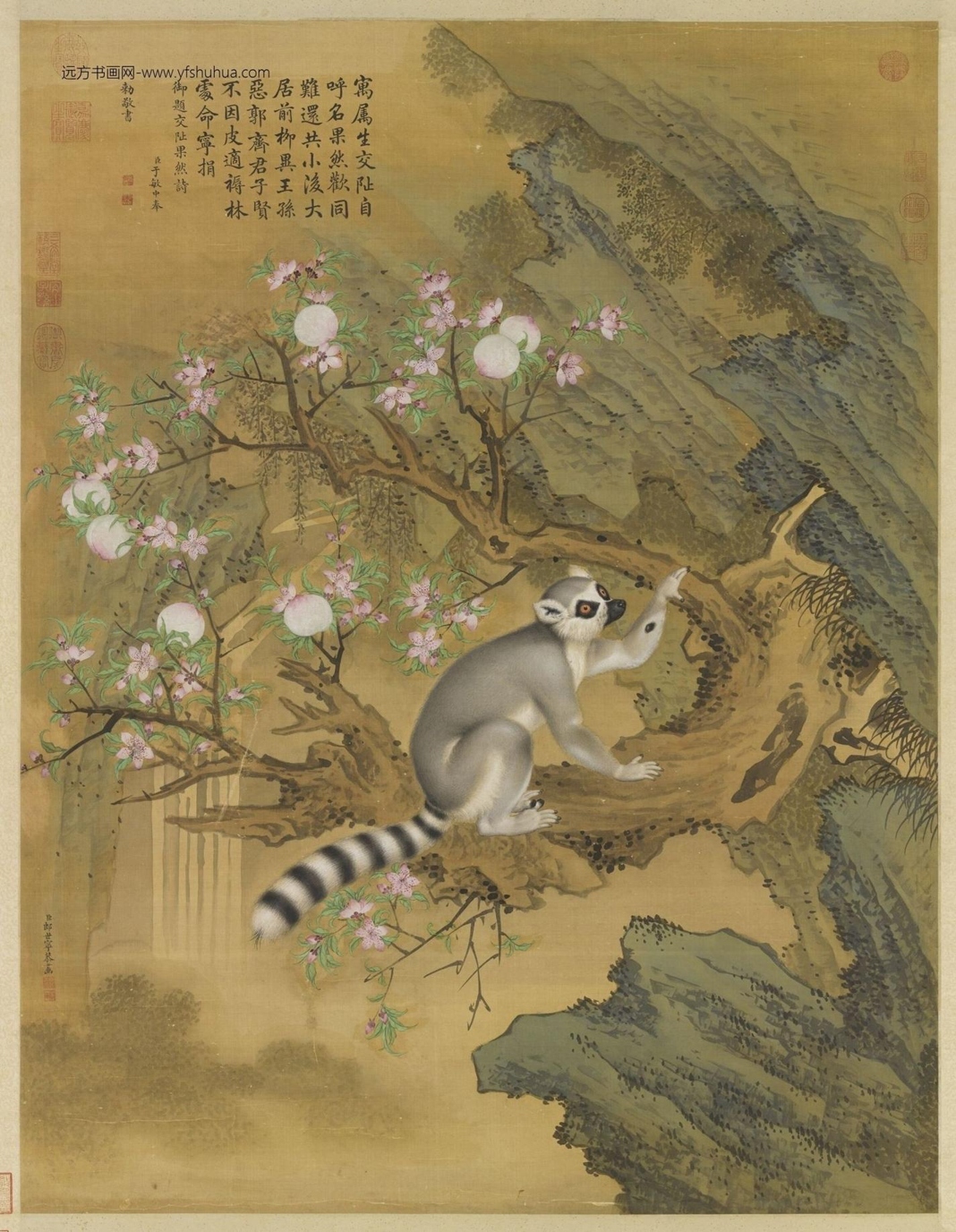 清_郎世宁_交阯果然轴