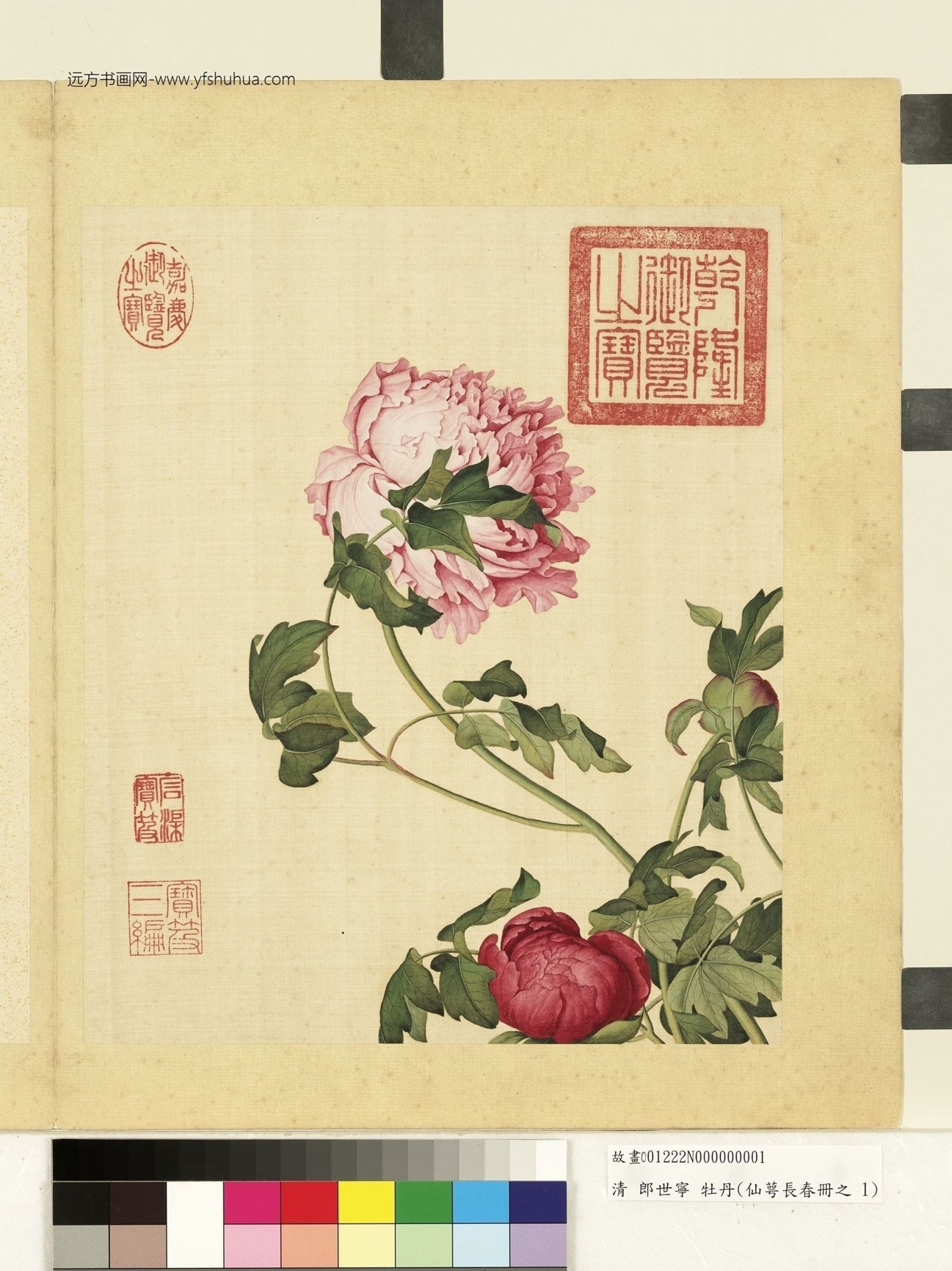 清_郎世宁_仙萼长春册_0