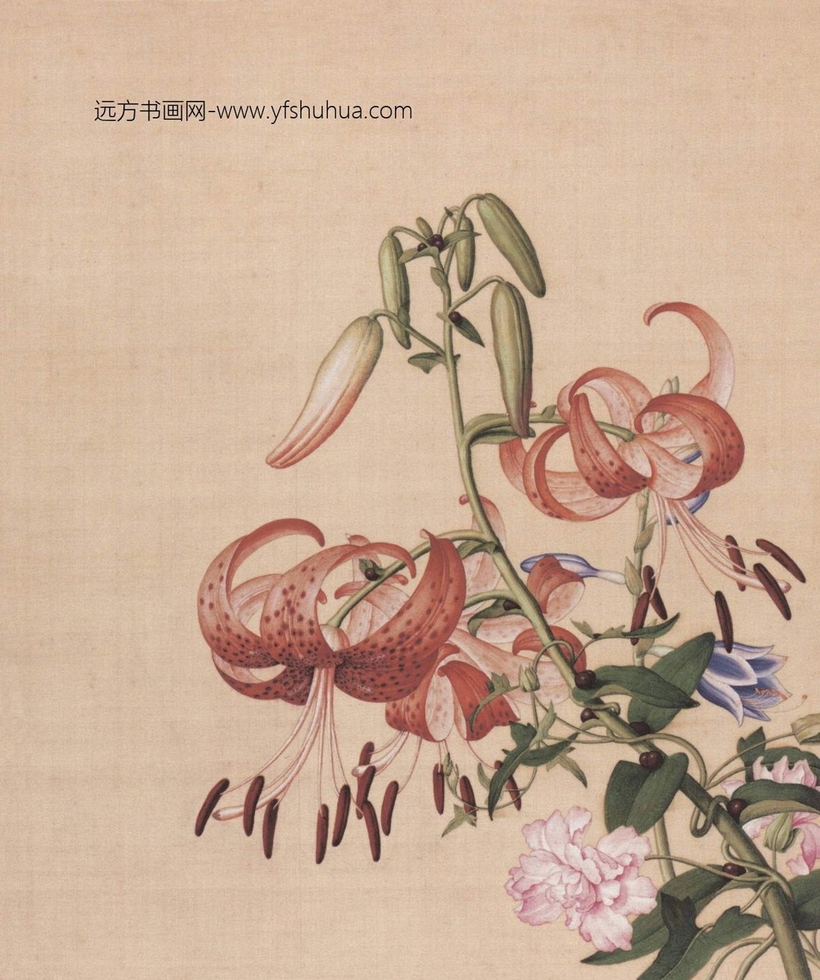 清_郎世宁_仙萼长春图HD_10 清_郎世宁_仙萼长春图HD_10