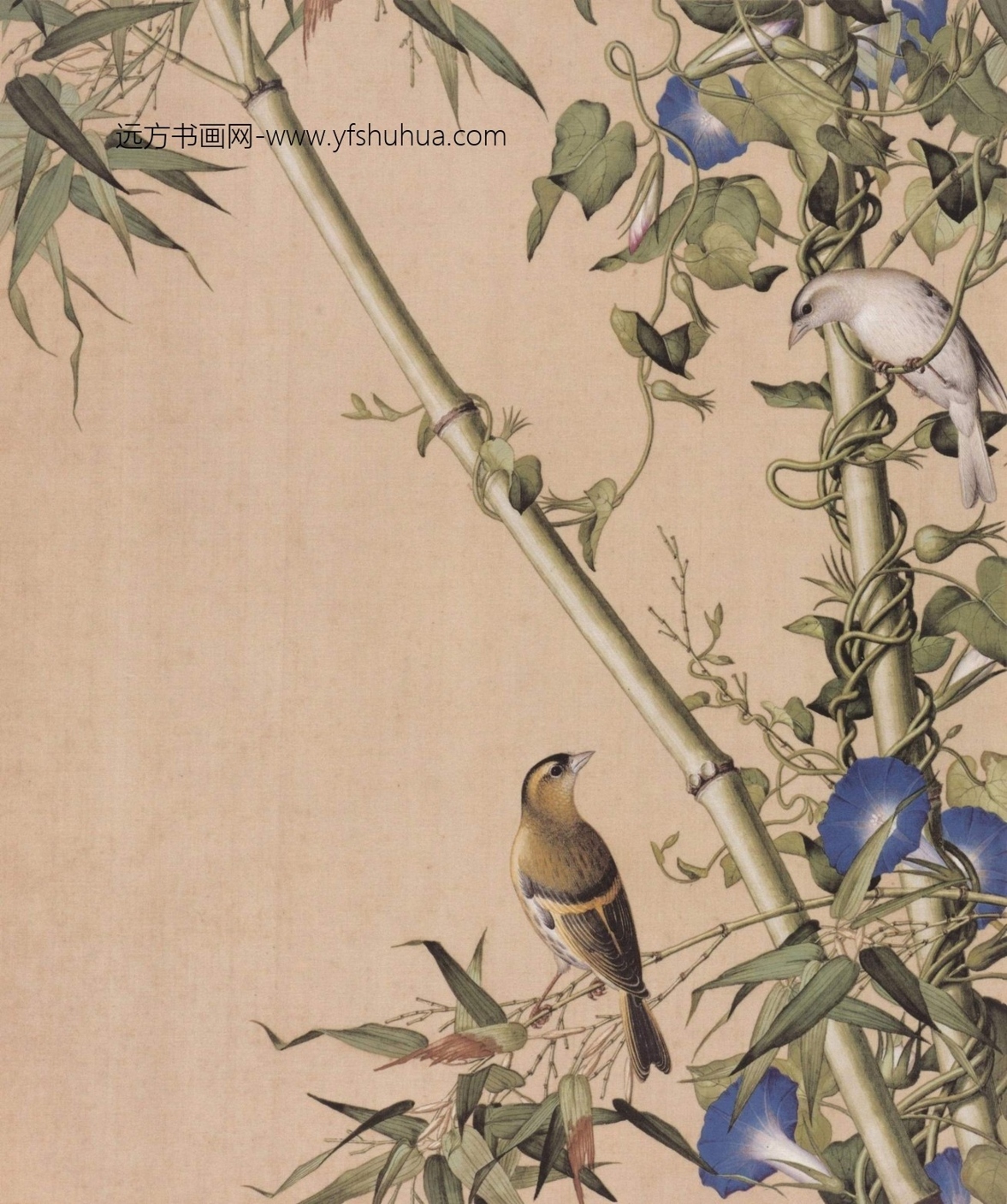 清_郎世宁_仙萼长春图HD_11 清_郎世宁_仙萼长春图HD_11