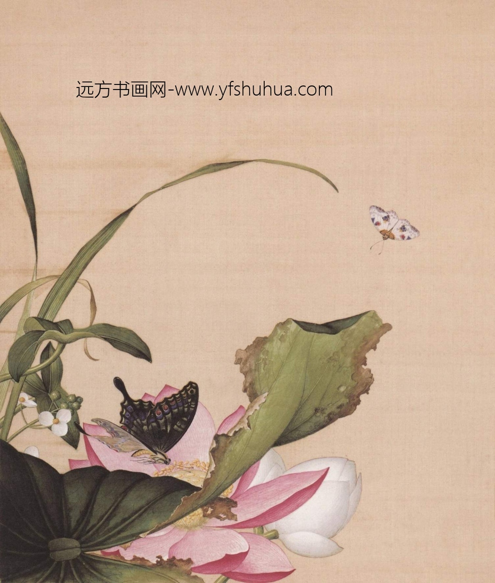 清_郎世宁_仙萼长春图HD_12 清_郎世宁_仙萼长春图HD_12