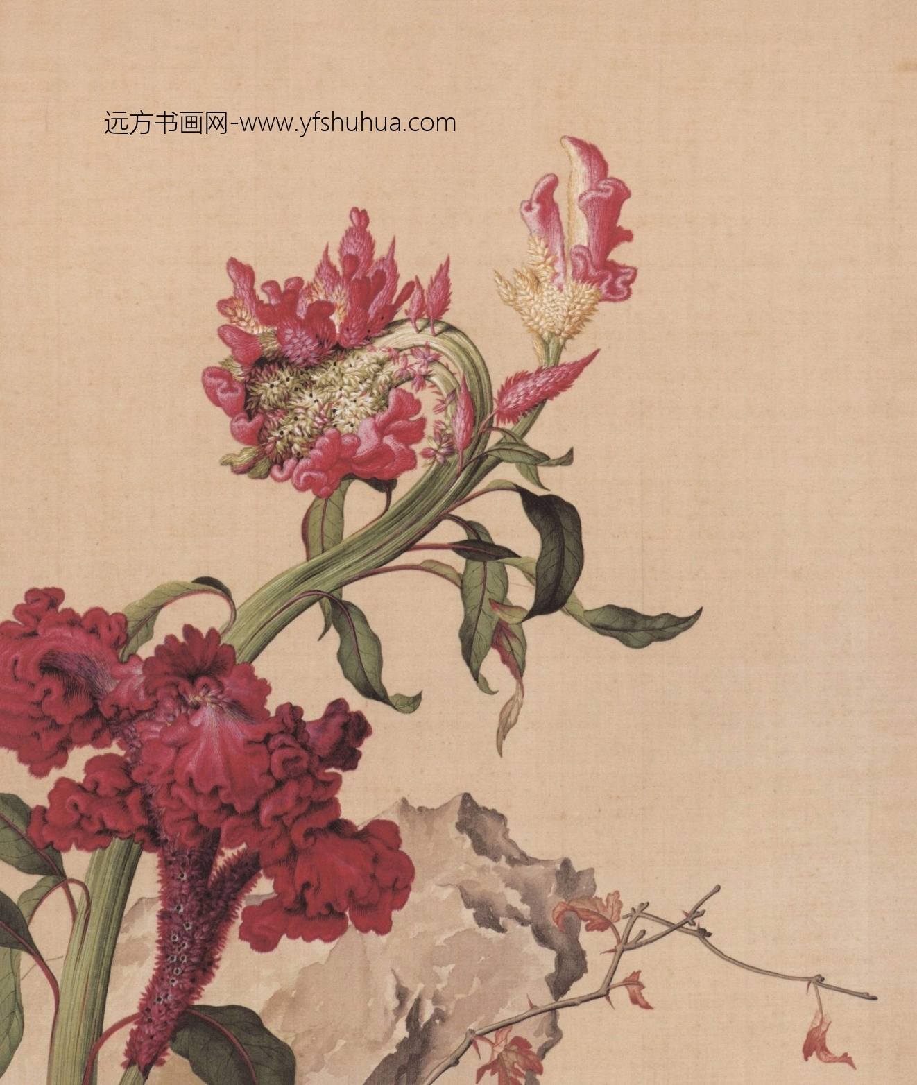 清_郎世宁_仙萼长春图HD_14 清_郎世宁_仙萼长春图HD_14